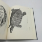 Preview: Sowerby & Lear's: Tortoises, Terrapins & Turtles. Facsimile Reprints in Herpetology No 28