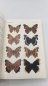 Preview: Inoue, H.: Iconographia Insectorum Japonicorum Colore Naturali edita. Volumen 1 (Lepidoptera)