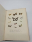 Preview: Romanoff, Nicholas Mikhailovich: Memoires sur les Lepidopteres. Les Lepidopteres de la Transcaucasie. Tome III (Band 3)