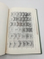 Preview: Wiener Entomologischen Gesellschaft (Hrsg.), : Zeitschrift d. Wiener Entomologischen Gesellschaft, 47. Jahrgang, 73. Band 1962, Nr 1-12 (=vollst.). Gebunden! 