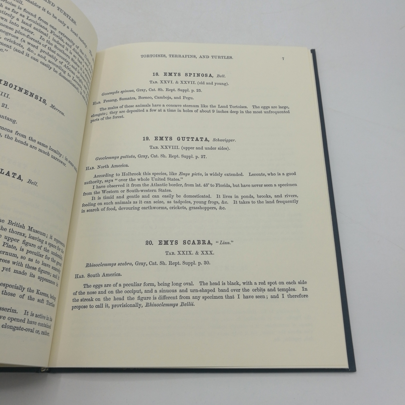 Sowerby & Lear's: Tortoises, Terrapins & Turtles. Facsimile Reprints in Herpetology No 28