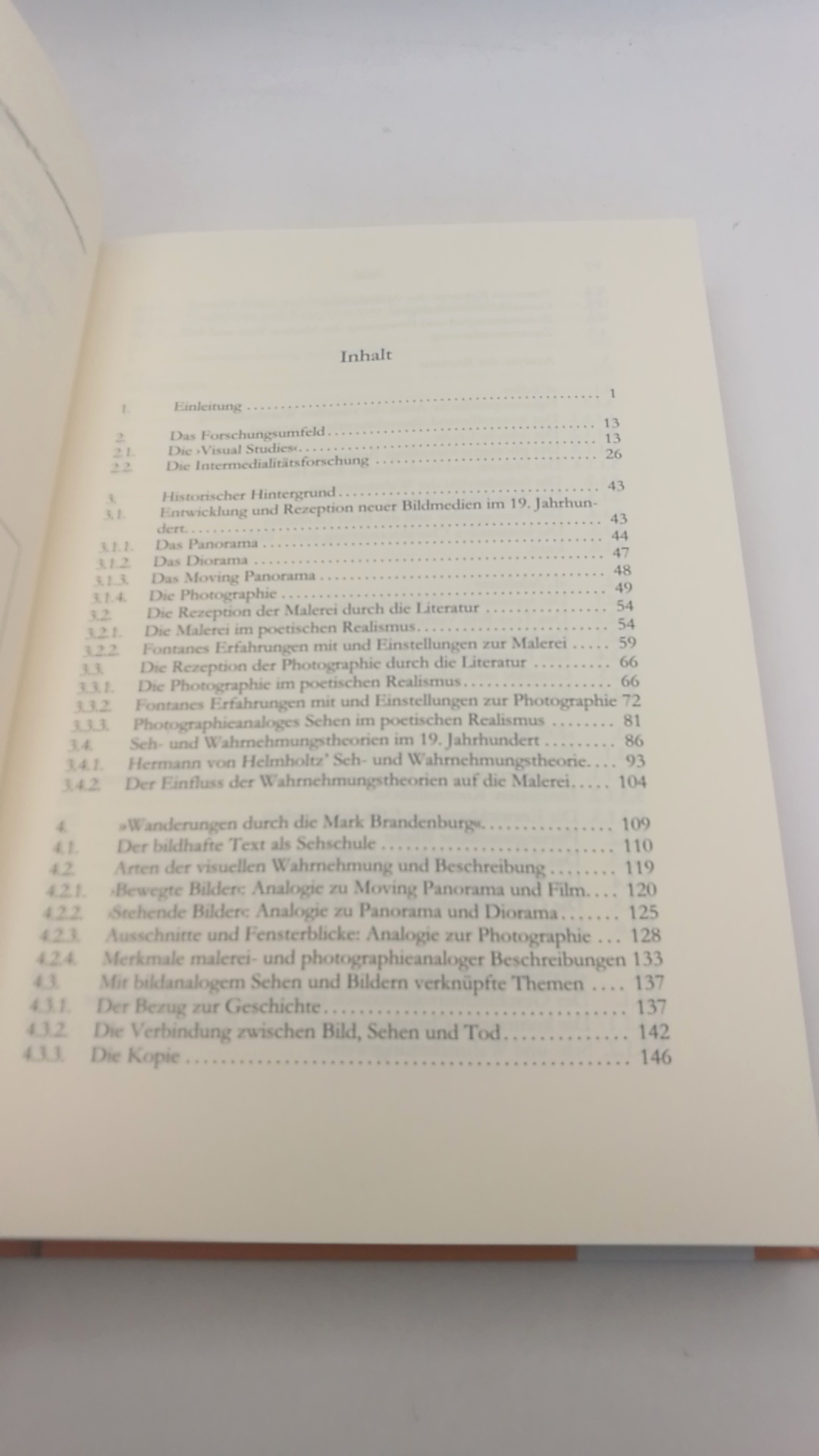 Hoffmann, Nora (Verfasser): Photographie, Malerei und visuelle Wahrnehmung bei Theodor Fontane / Nora Hoffmann 