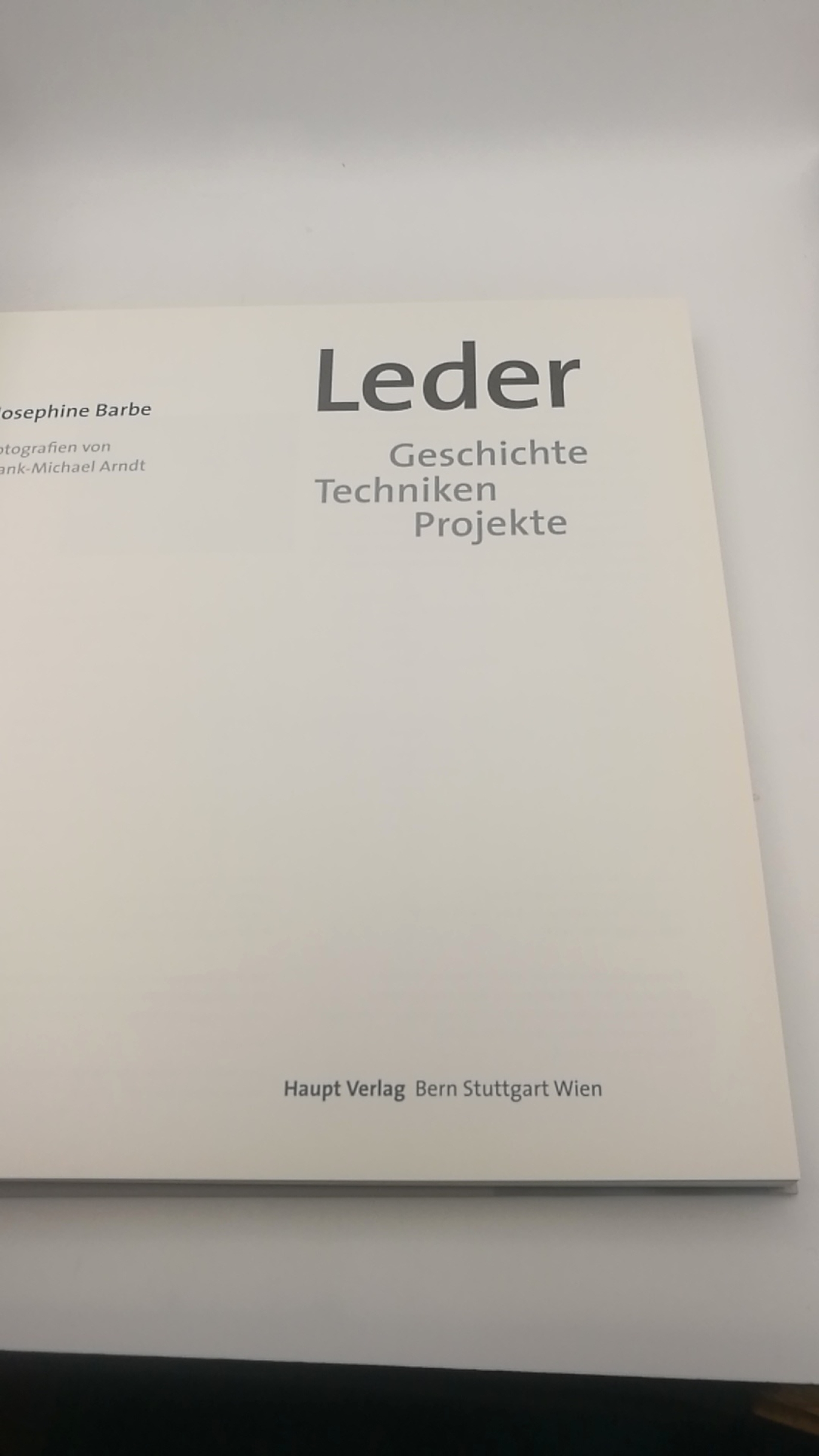 Barbe, Josephine: Leder Geschichte, Techniken, Projekte