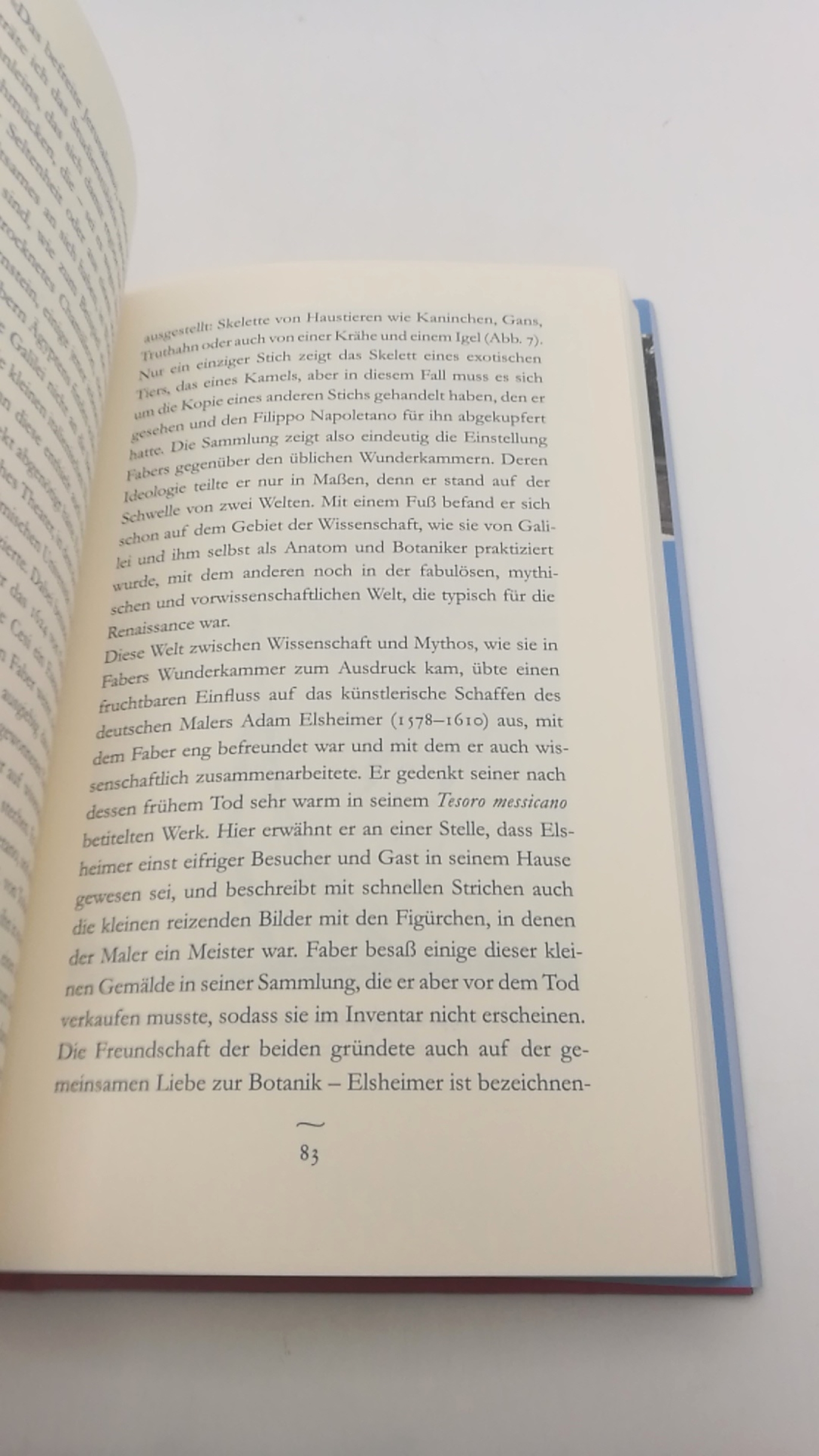 Zapperi, Roberto: Alle Wege führen nach Rom Die ewige Stadt und ihre Besucher