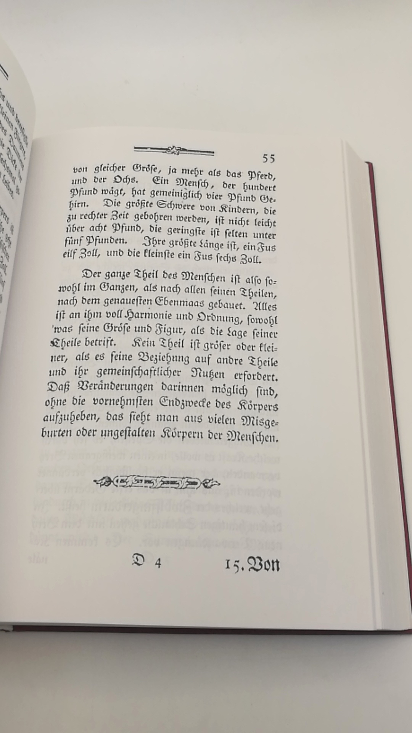 Schwartz, Johann Wilhelm: Schwarz Lesebuch für Kinder aus der Naturgeschichte 