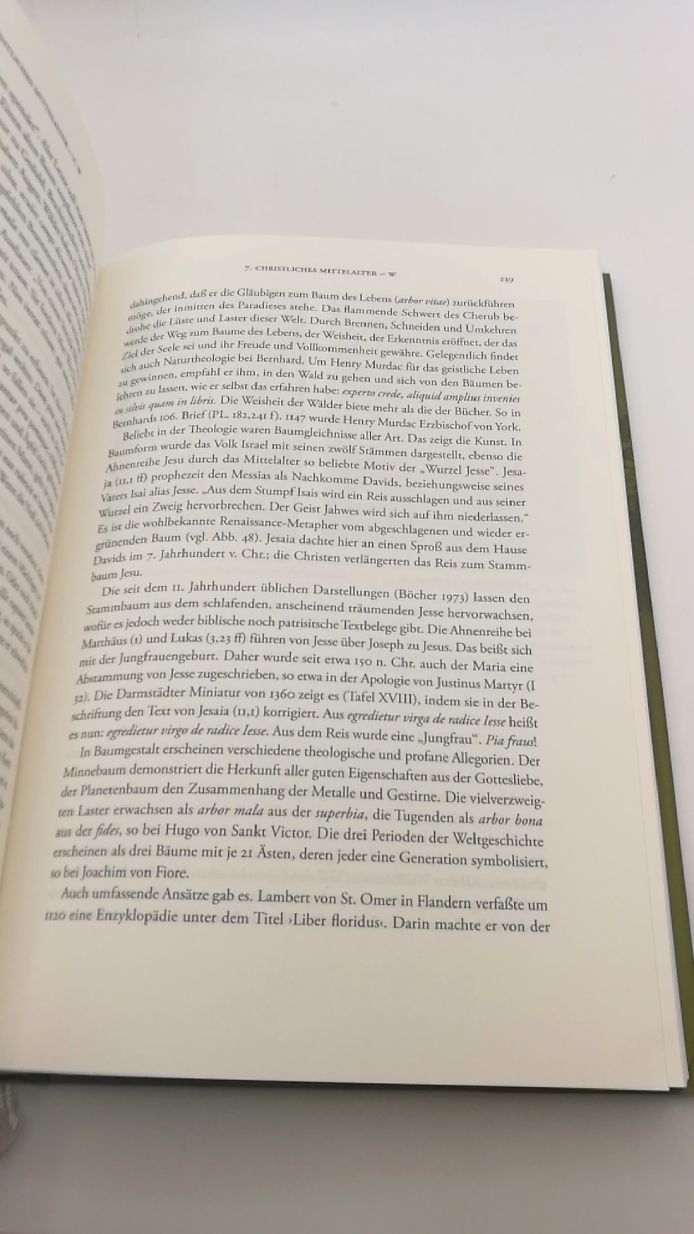 Demandt, Alexander: Der Baum Eine Kulturgeschichte