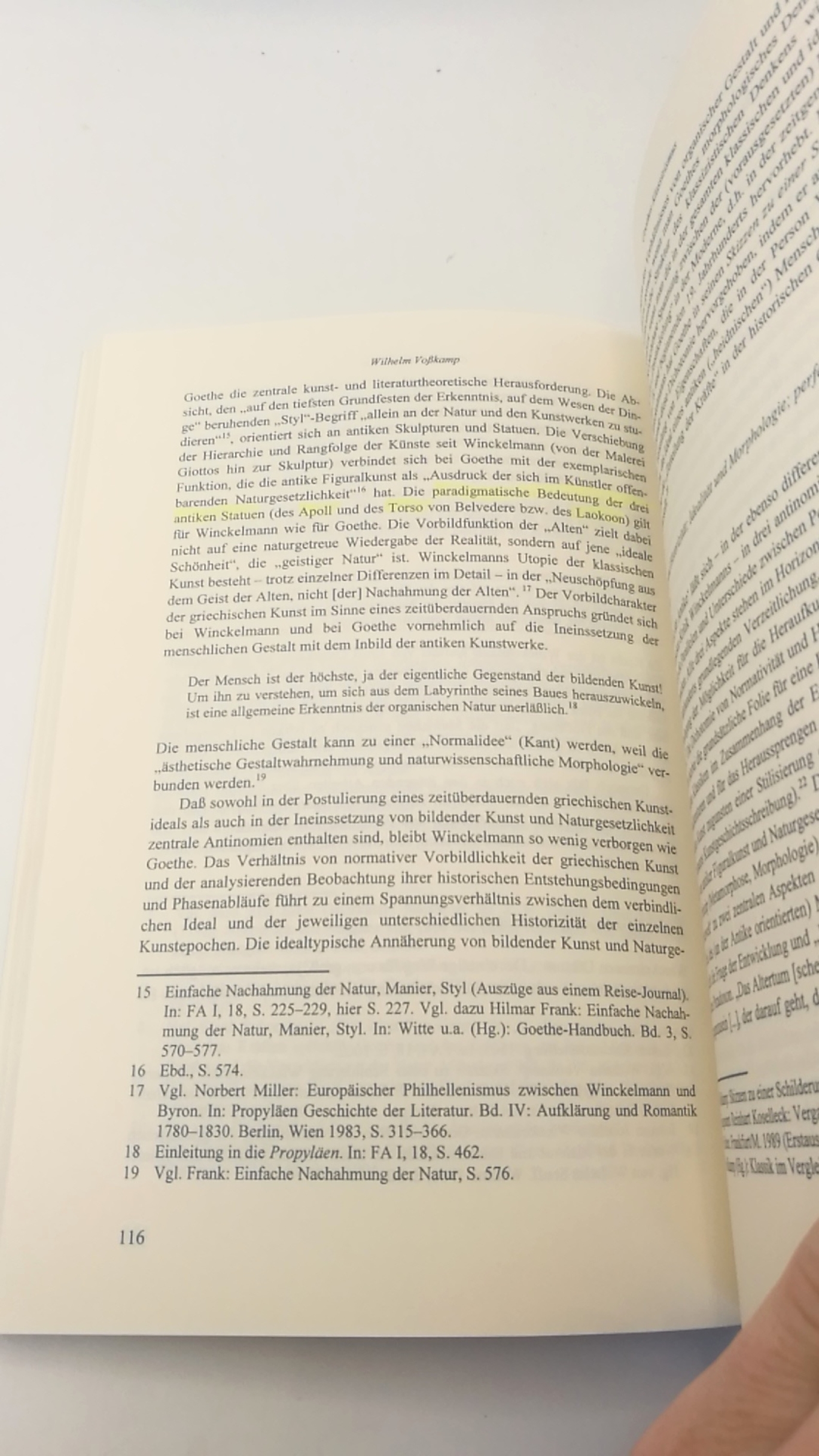 Witte, Bernd (Herausgeber): Goethes Rückblick auf die Antike Beiträge des deutsch-italienischen Kolloquiums, Rom 1998