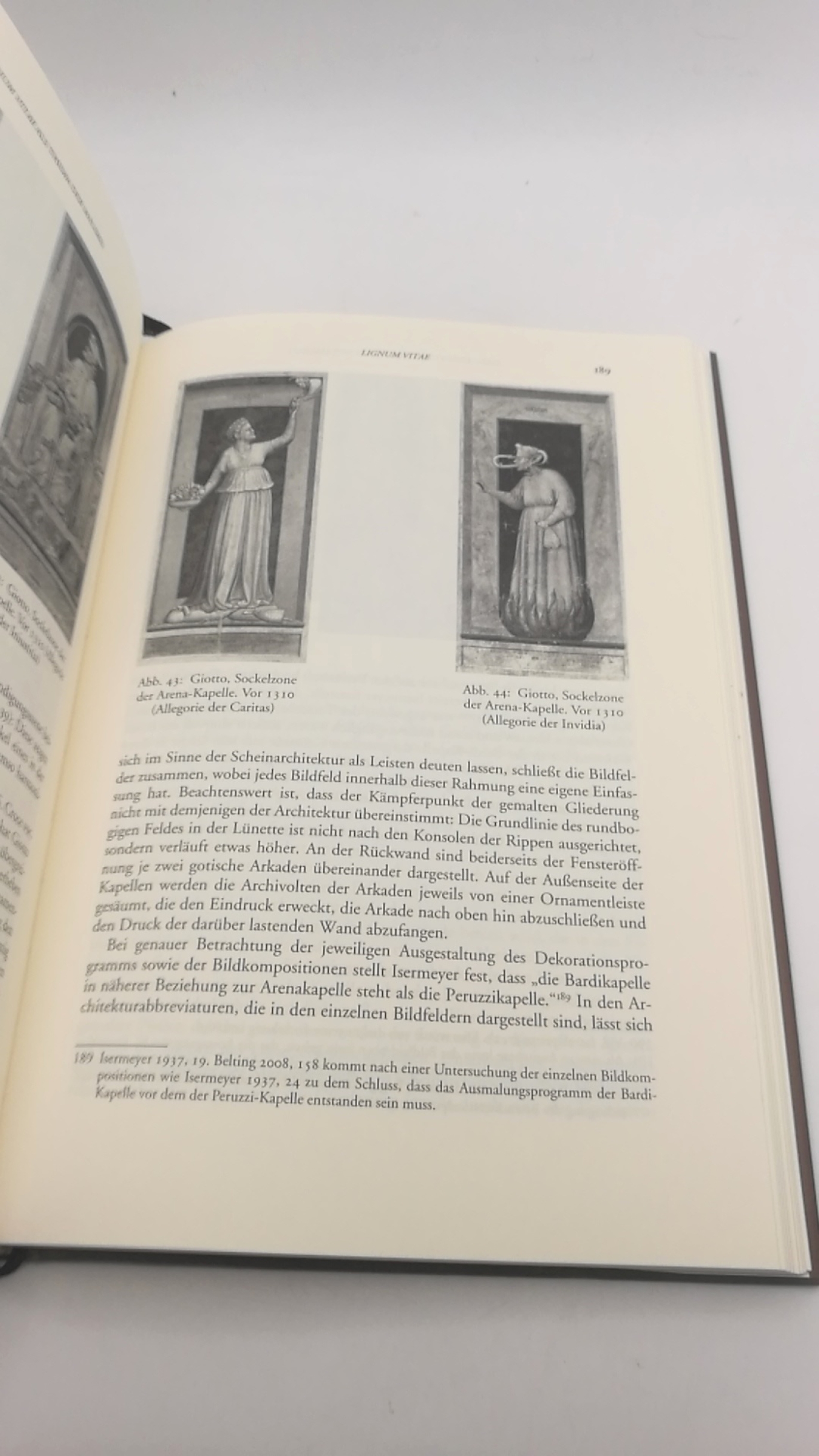 Preisinger, Raphaele (Verfasser): Lignum vitae Zum Verhältnis materieller Bilder und mentaler Bildpraxis im Mittelalter