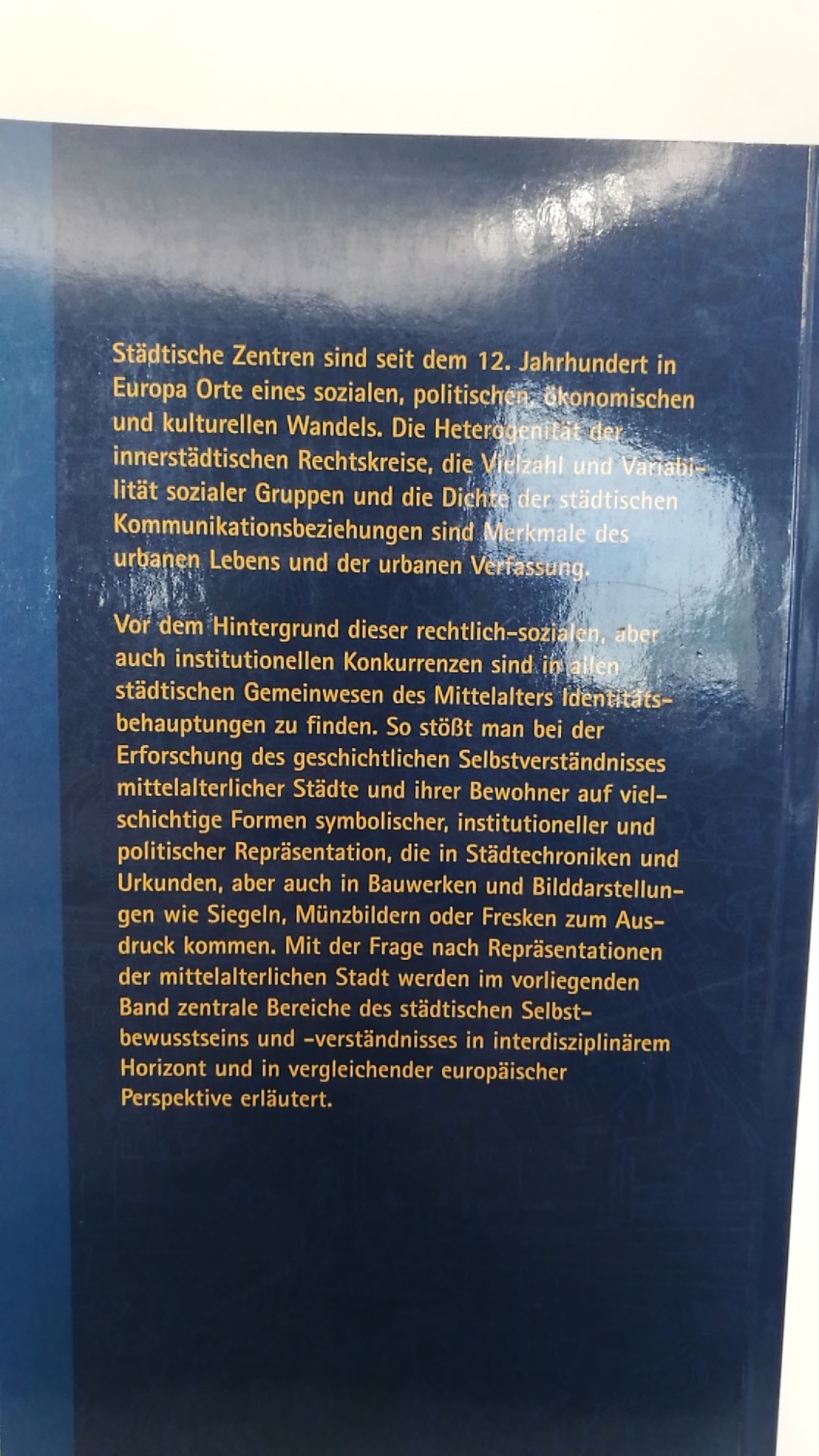 Oberste, Jörg (Herausgeber): Repräsentationen der mittelalterlichen Stadt 