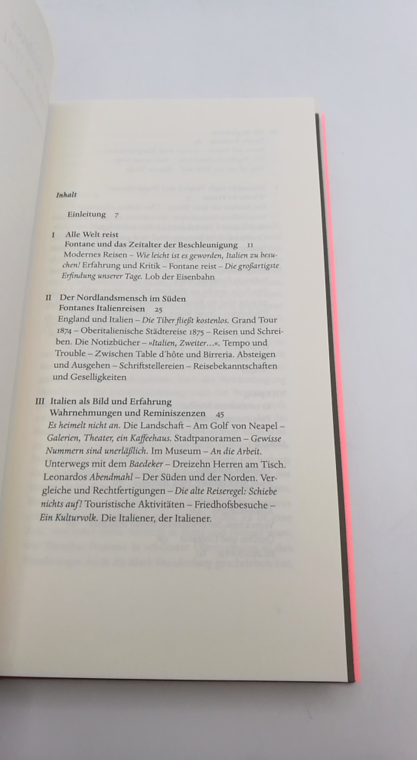 Richter, Dieter (Verfasser): Fontane in Italien Mit zwei Stadtbeschreibungen aus Fontanes Nachlass / Dieter Richter