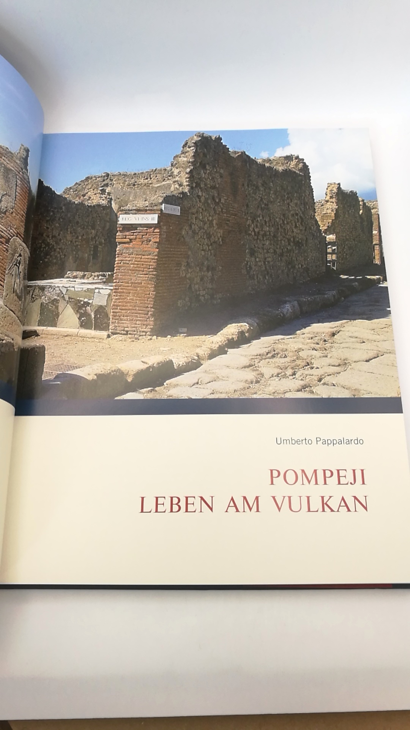 Pappalardo, Umberto (Mitwirkender): Pompeji Leben am Vulkan / Umberto Pappalardo. [Übers.: Agnes Allroggen-Bedel. Übers. der Bildlegenden: Cornelius Hartz. Red.: Stephanie Müller und Annette Nünnerich-Asmus