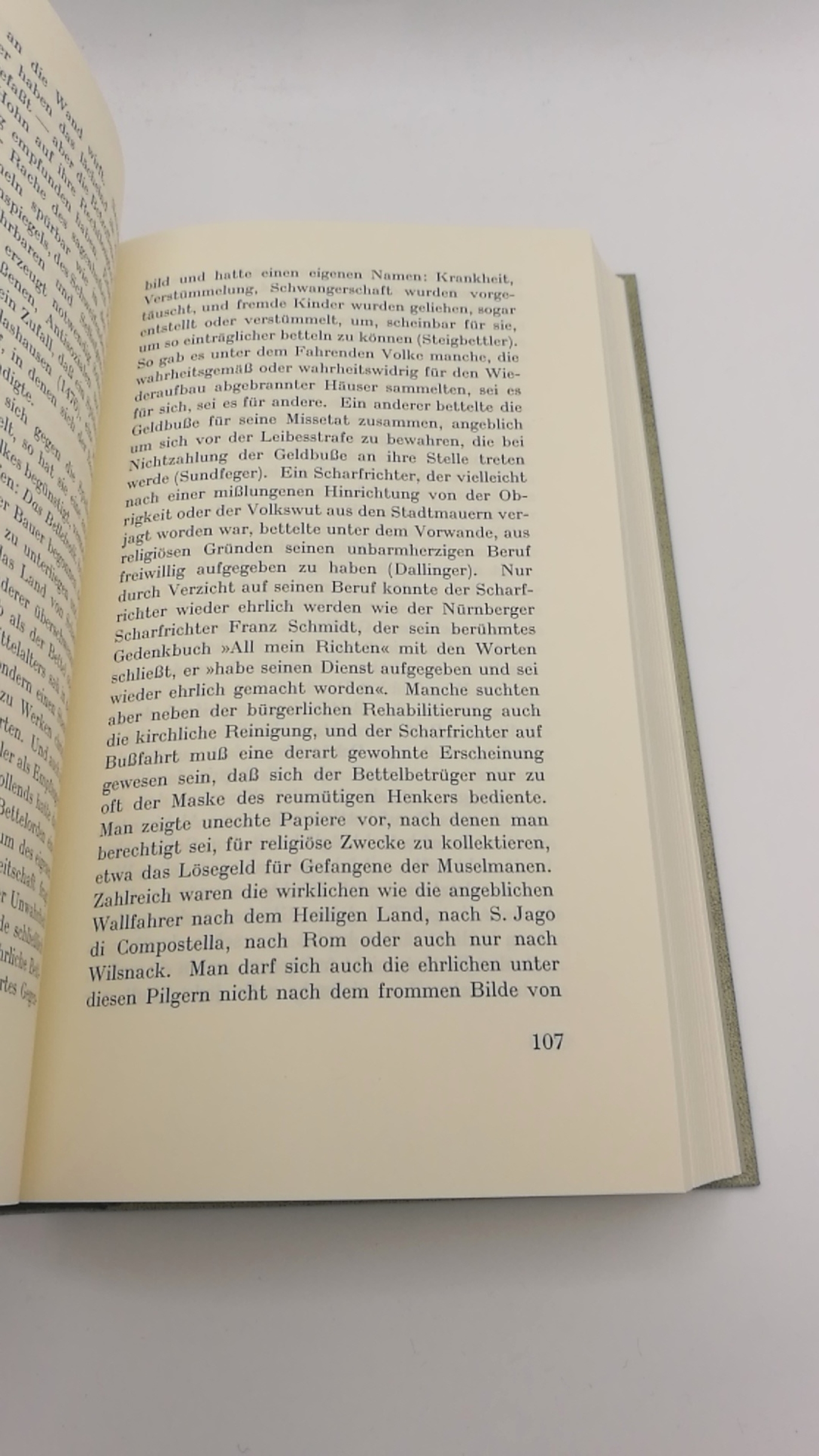 Radbruch, Gustav: Geschichte des Verbrechens Versuch einer historischen Kriminologie