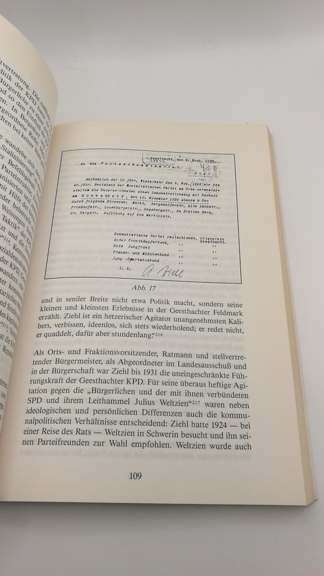 Menapace, Bernhard Michael: "Klein-Moskau" wird braun Geesthacht in der Endphase der Weimarer Republik (1928 - 1933)