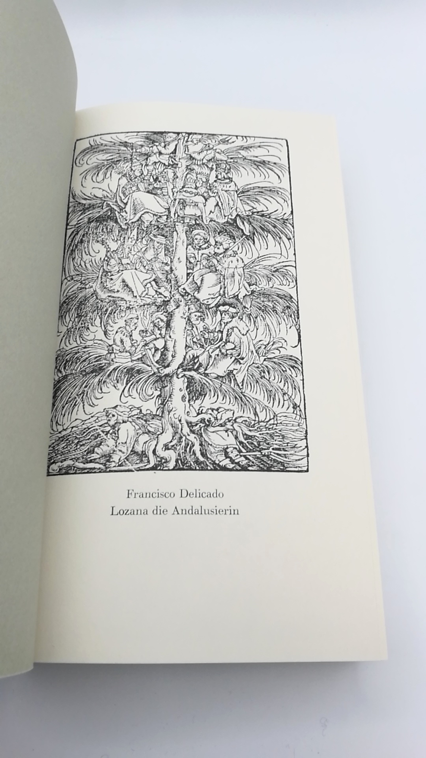 Delicado, Francisco: Lozana, die Andalusierin. Eine Reportage in sechsundsechzig Heften aus dem Rom der Renaissance. 