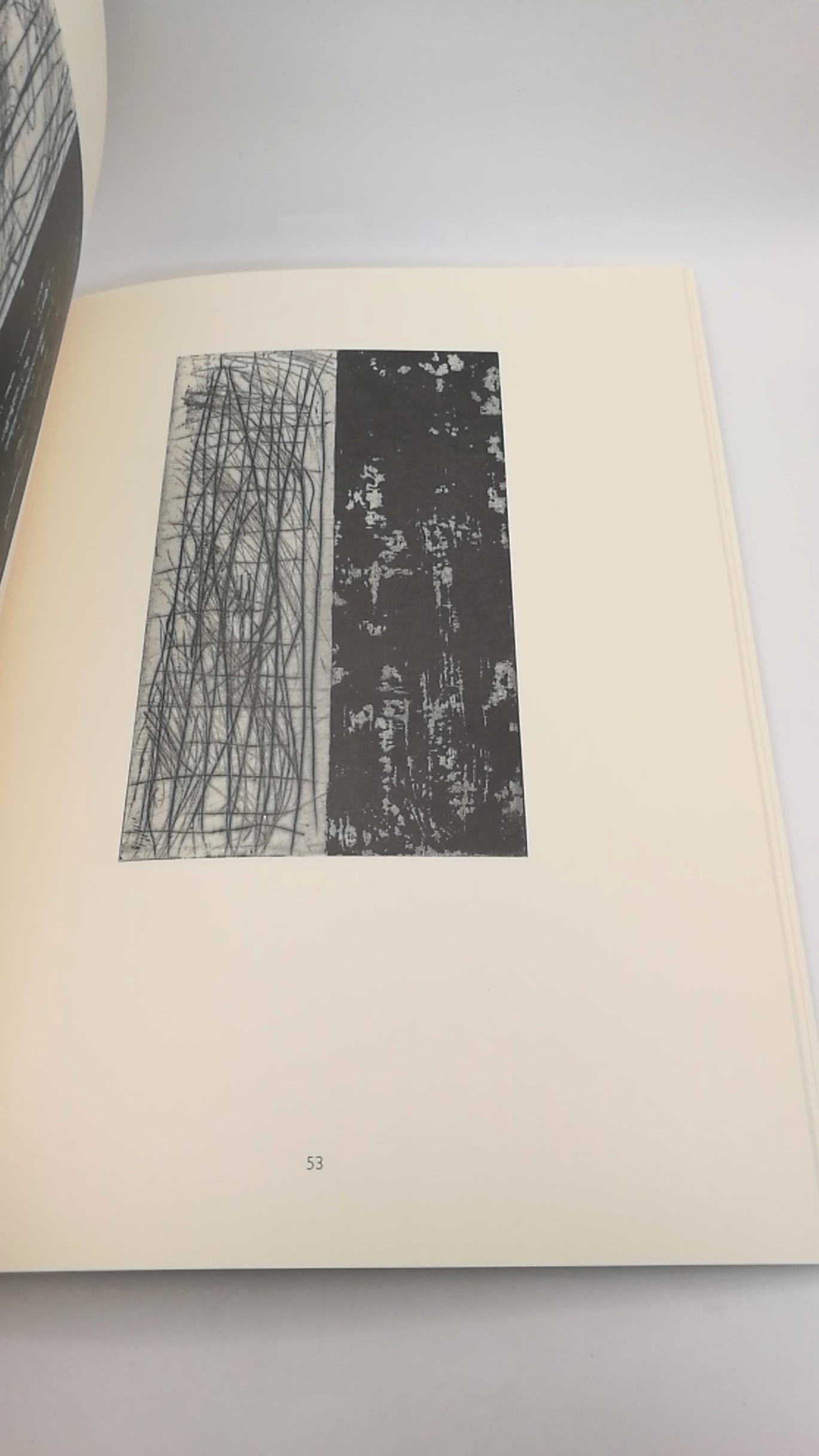 Kunstmuseum Bonn (Hrsg.), Günther: Günther Förg: Druckgraphische Serien Kunstmuseum Bonn, 21. Januar bis 6. März 1994