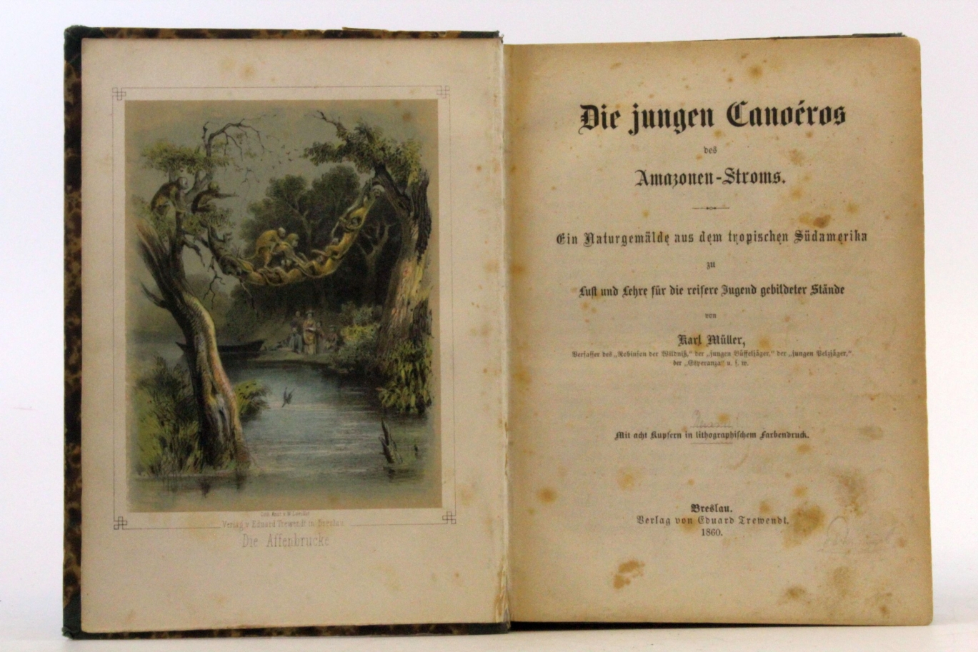 Müller, Karl: Die jungen Canonéros des Amazonen-Stroms Ein Nautrgemälde aus dem tropischen Südamerika zu Lust und Lehre für die reifere Jugend gebildeter Stände