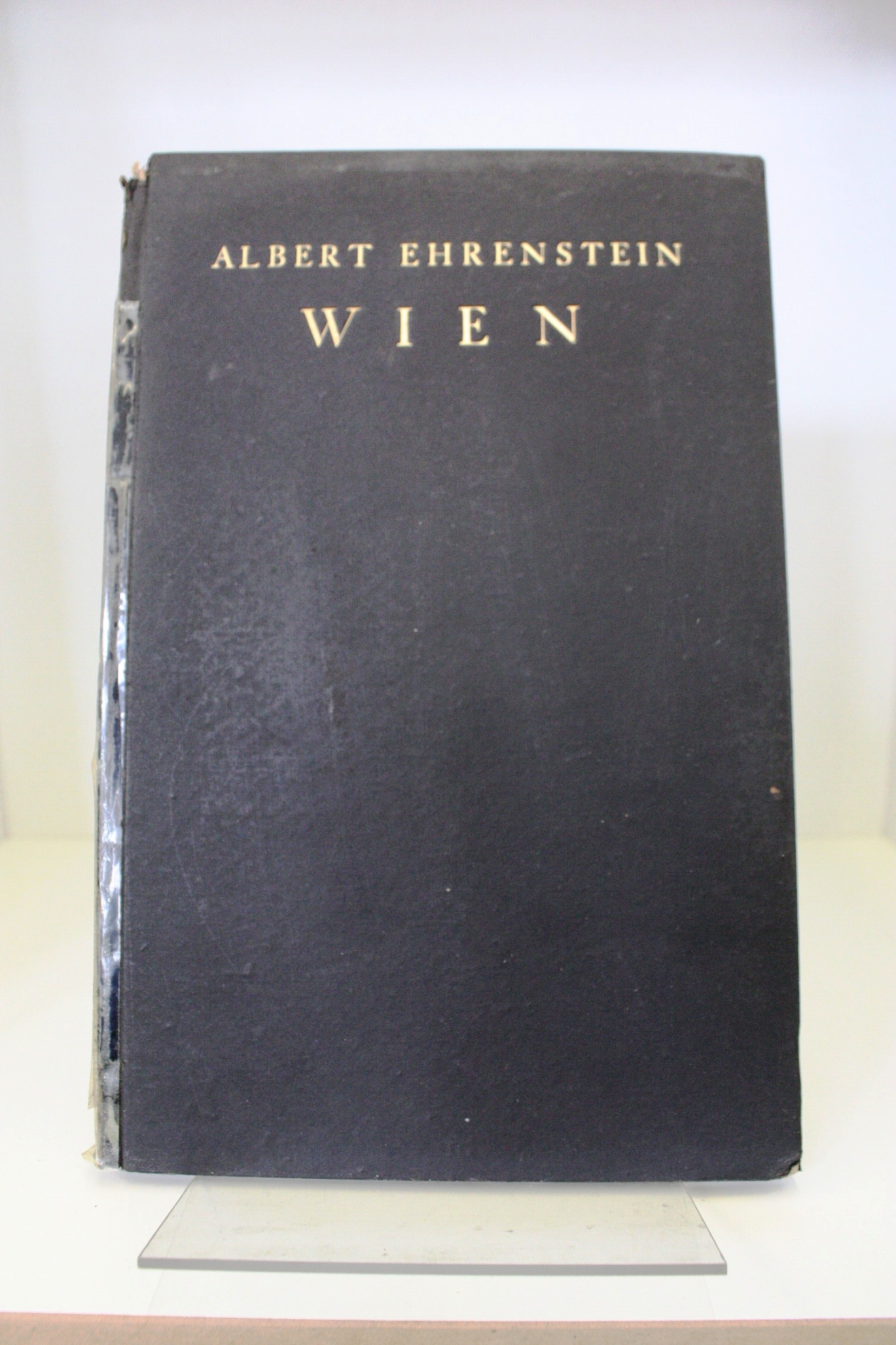 Ehrenstein, Albert: Wien