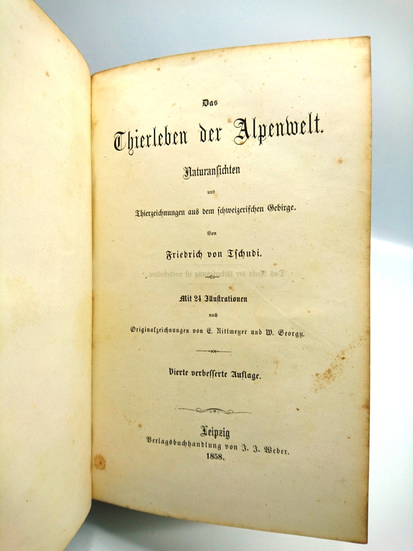 Tschudi, Friedrich von: Das Thierleben der Alpenwelt. Naturansichten und Thierzeichnungen aus dem schweizerischen Gebirge