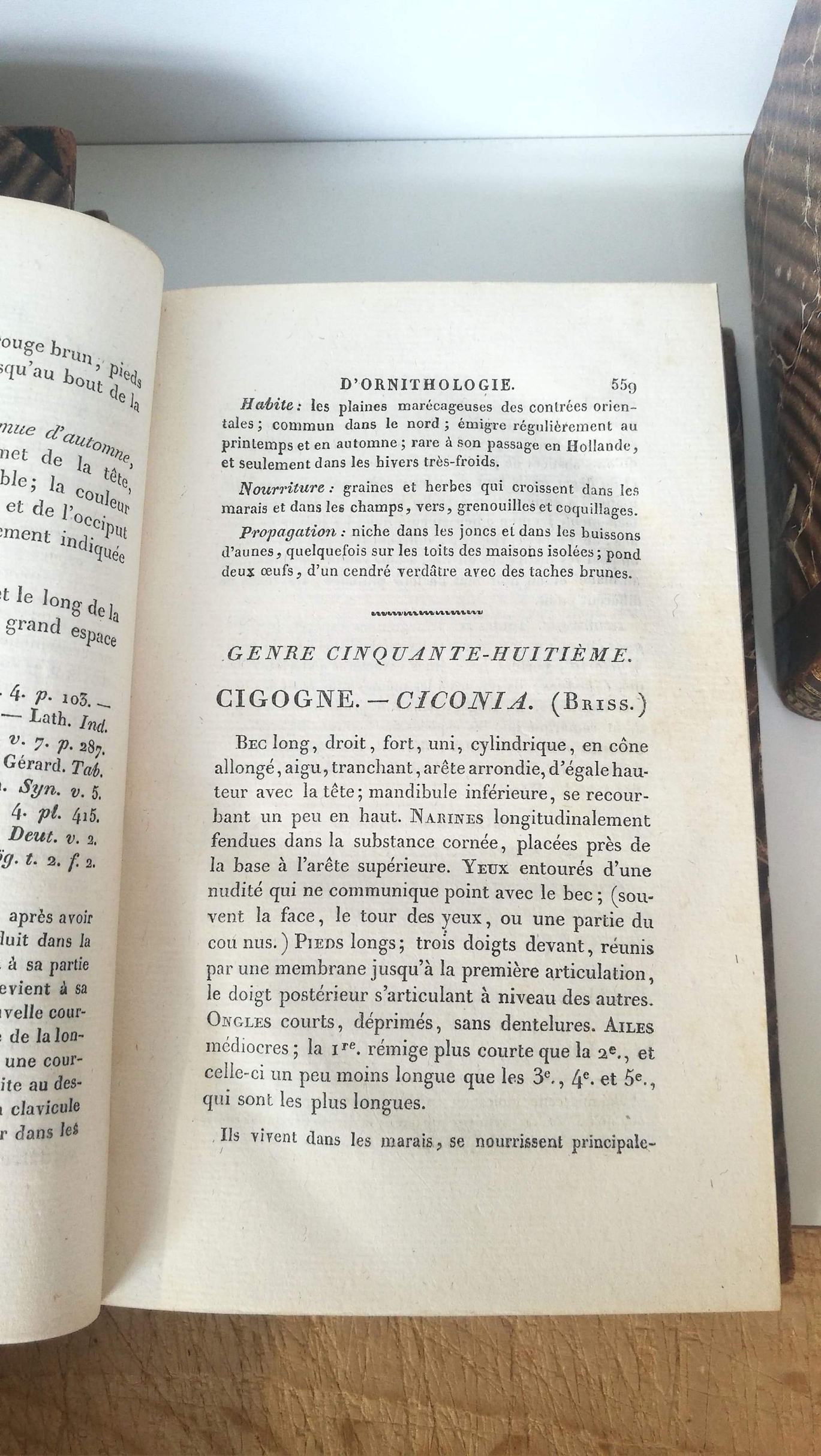 Temminck, J. - C.: Manuel d' ornitologie ou tableau systématique des oiseaux qui se trouvent en europe