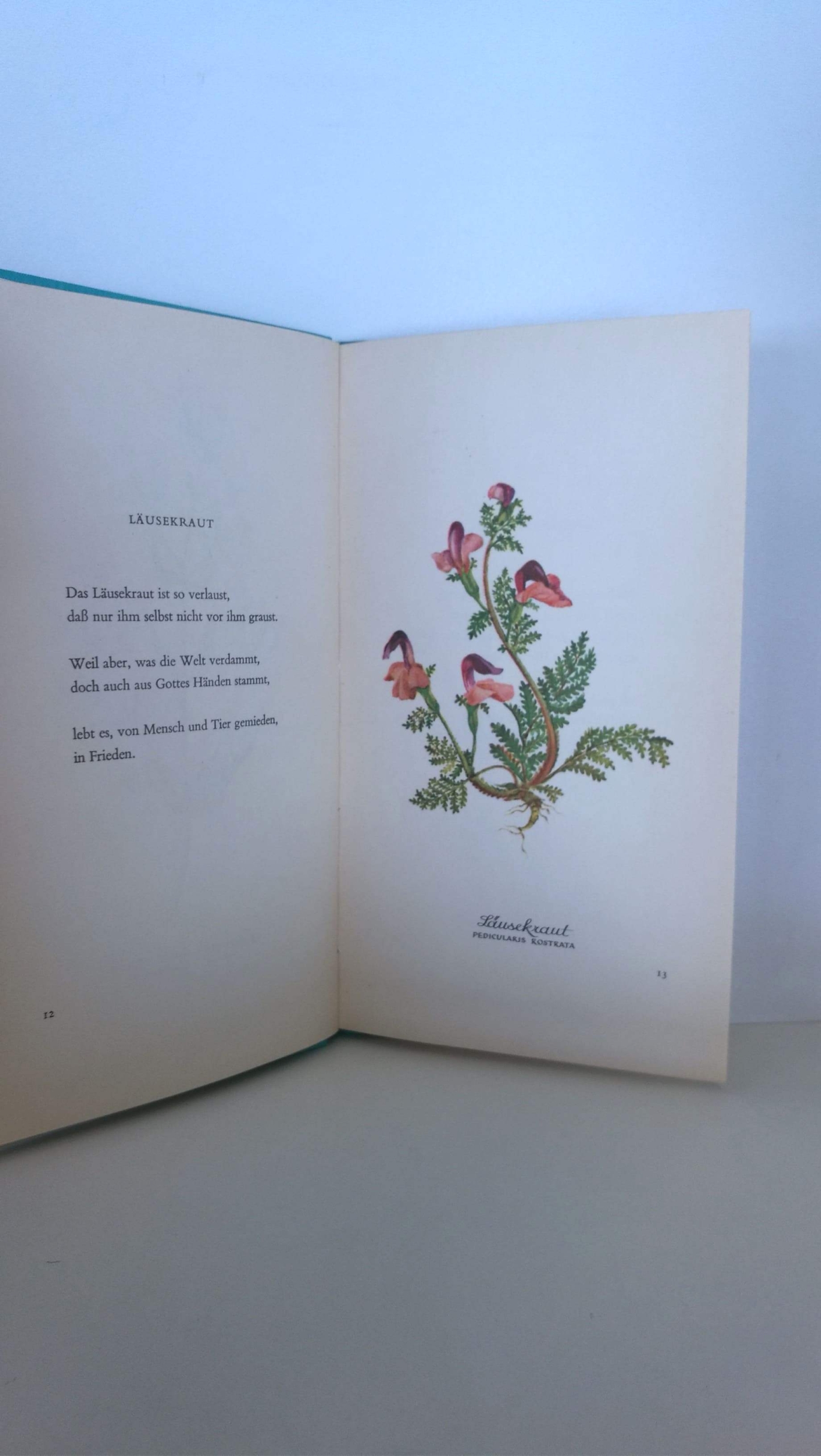 Waggerl, Karl Heinrich: Heiteres Hebarium. Blumen und Verse.