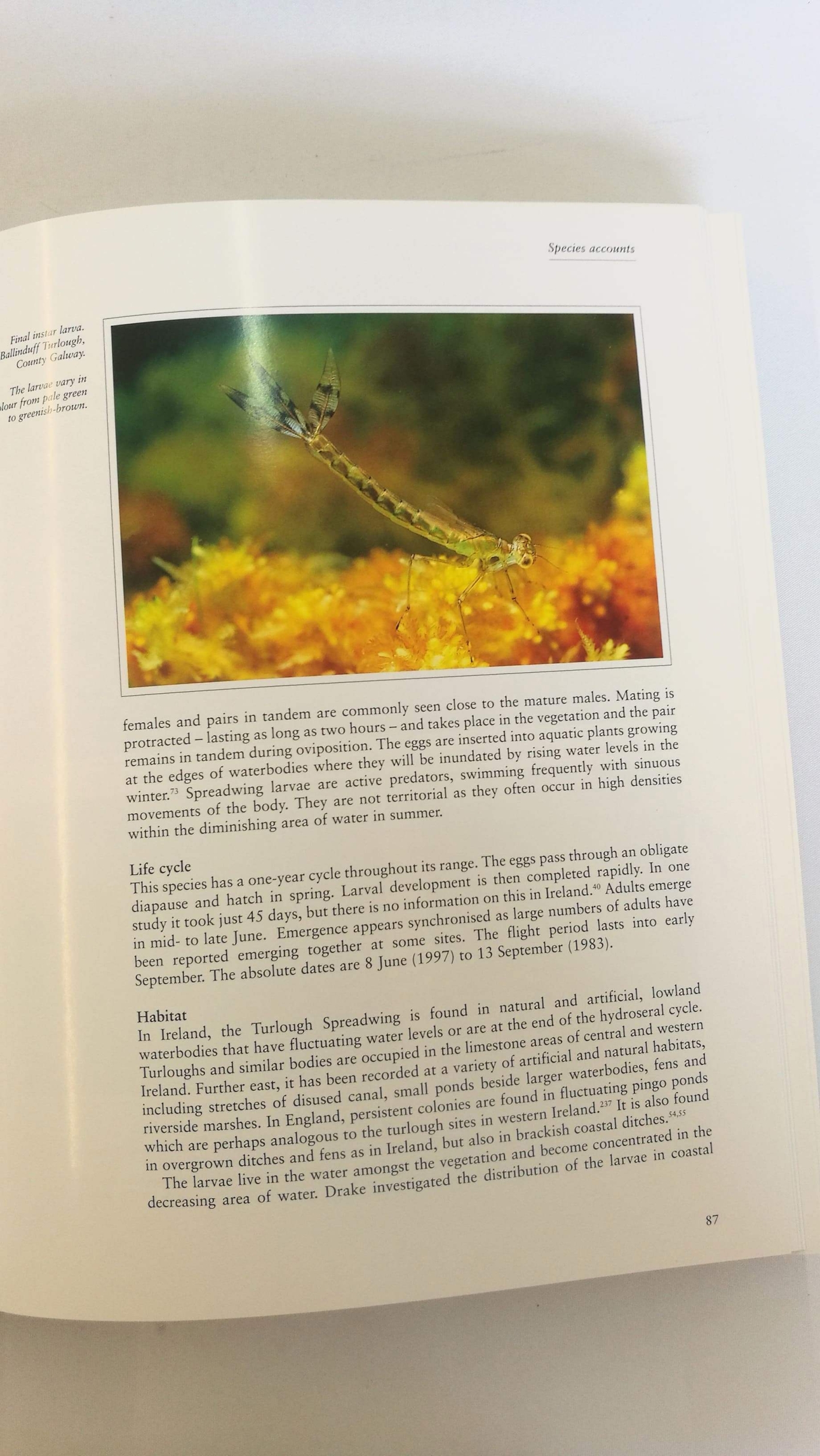 Brian Nelson, Robert Thompson: The Natural History of Ireland's Dragonflies 