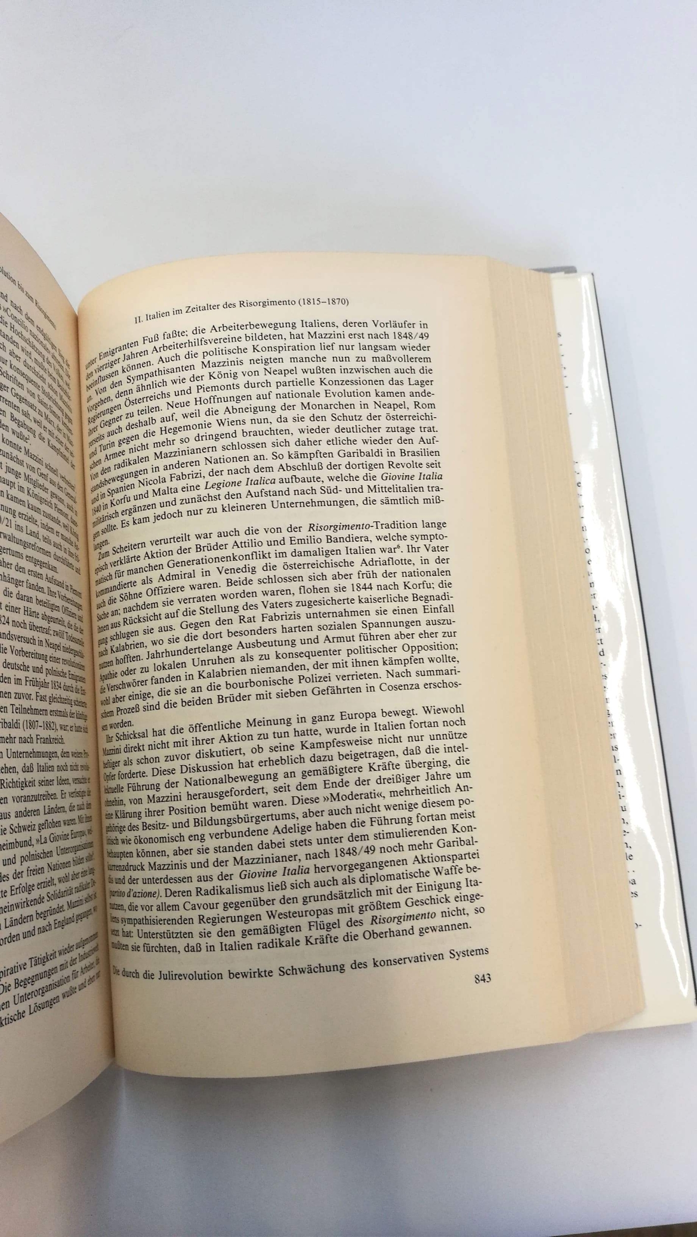 Schieder (Hrsg.), Theodor: Handbuch der europäischen Geschichte. Bd. 5 Europa von der französischen Revolution zu den Nationalstaatlichen Bewegungen des 19. Jahrhunderts.