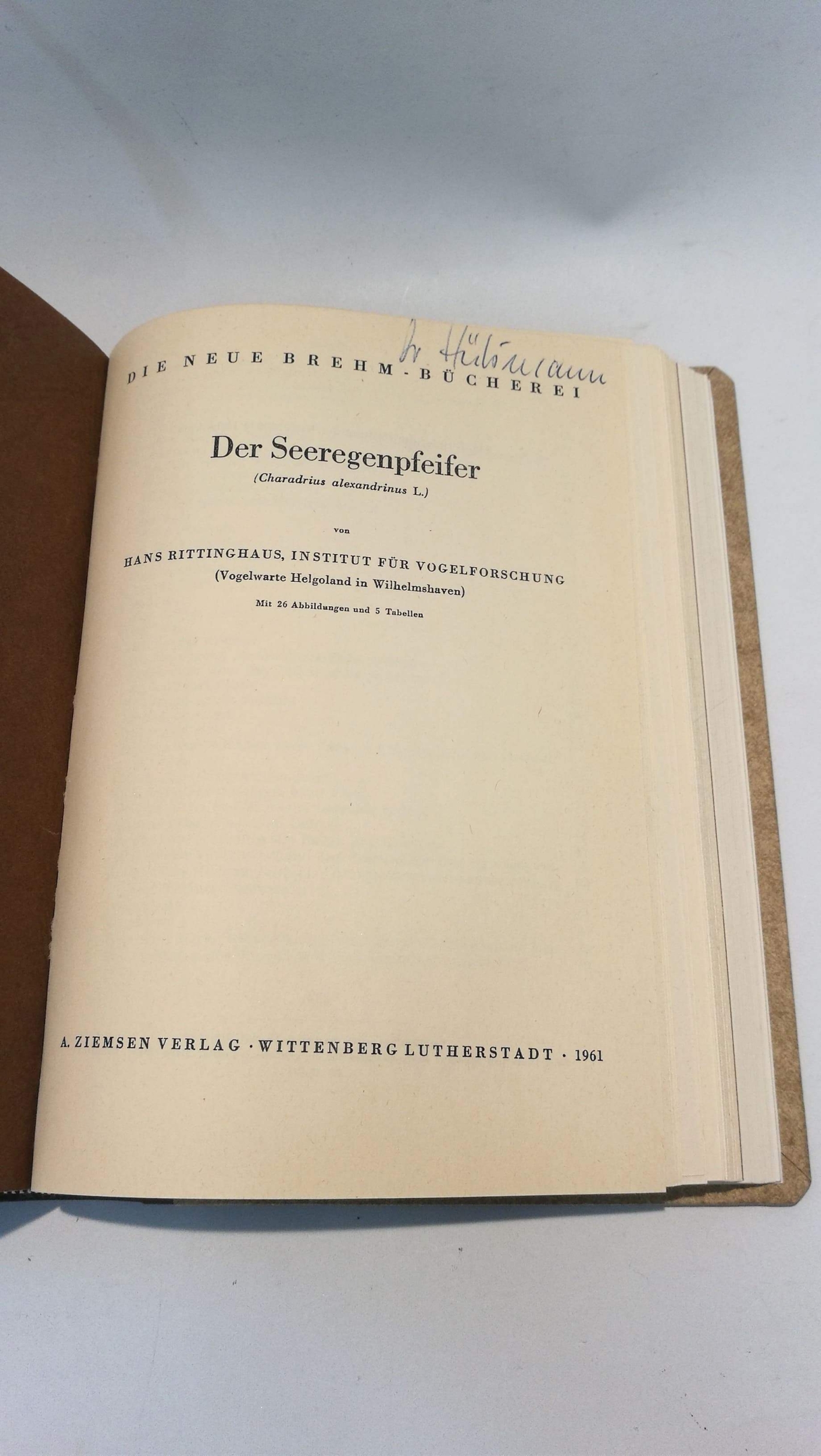 versch. Autoren: Larus Numernius Tringa Charadrius Alcidae I. Die neue Brehm-Bücherei. Fünf Bände zum Thema Seevögel in einem Buch.