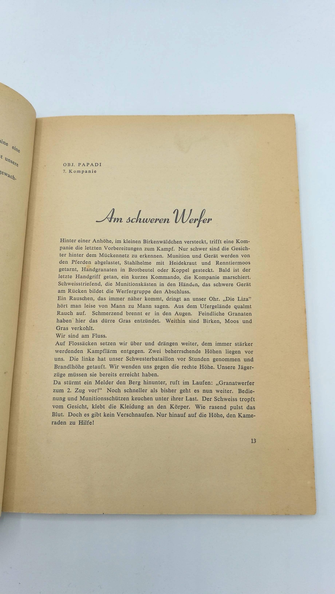 Bessel-Lorck, : Kampf an der Liza - Bericht aus dem Einsatz einer Gebirgsdivision 22.6.-20.10.1941. 