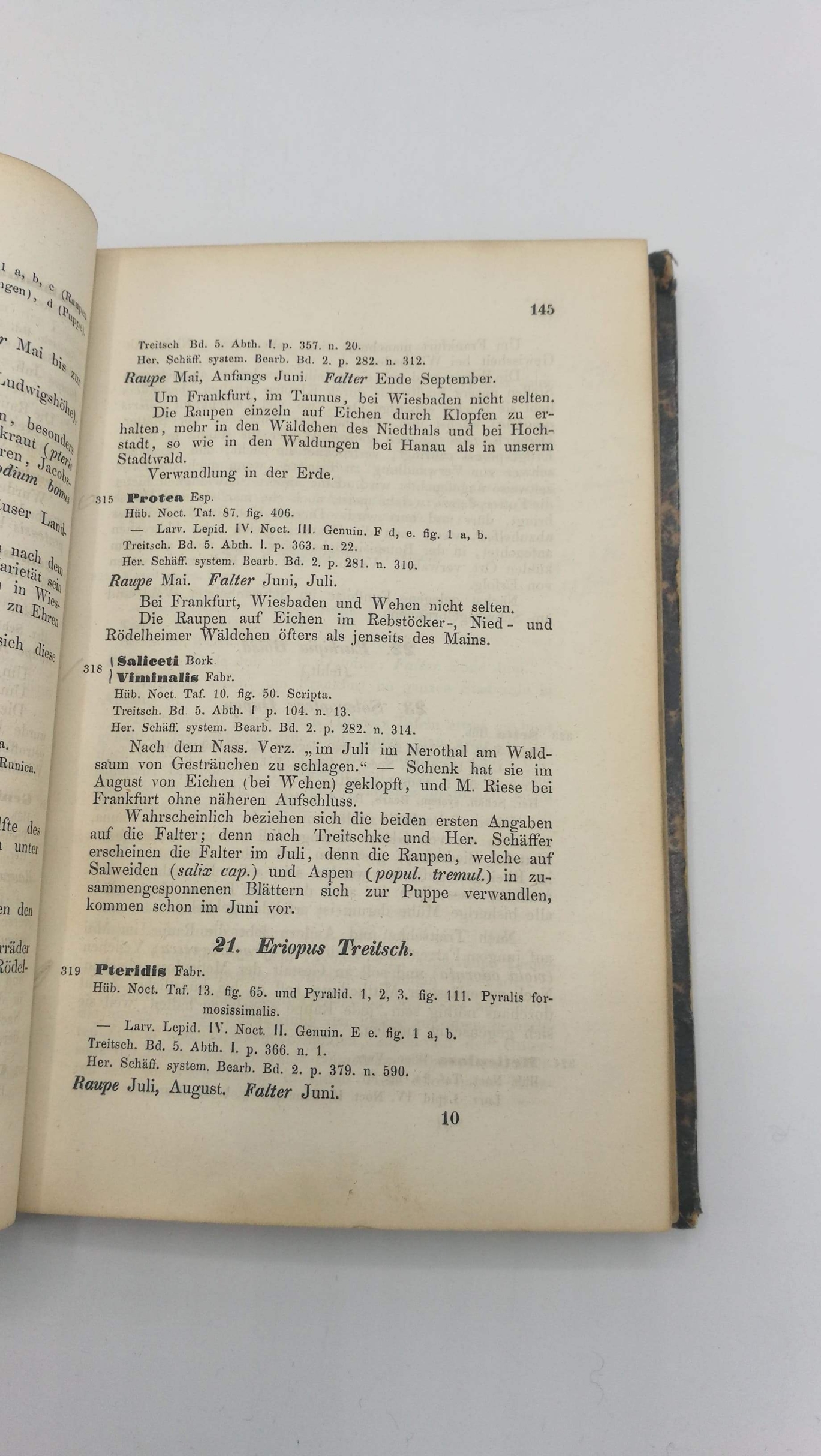 Koch, G.: Die Schmetterlinge des südwestlichen Deutschlands insbesondere der Umgegend von Frankfurt, Nassau und der Hessischen Staaten, nebst Angabe der Fundorte und Flugplätze etc. etc.