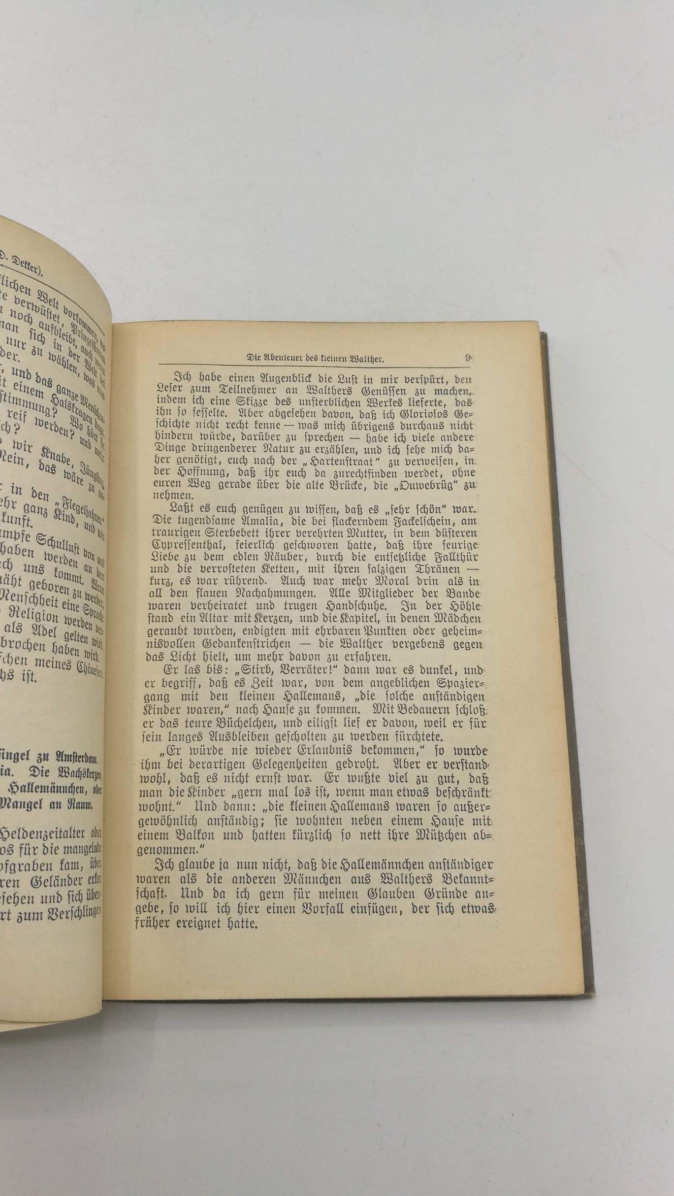 Multatuli (Eduard Douwes Dekker): Die Abenteuer des kleinen Walther Humoristischer Roman