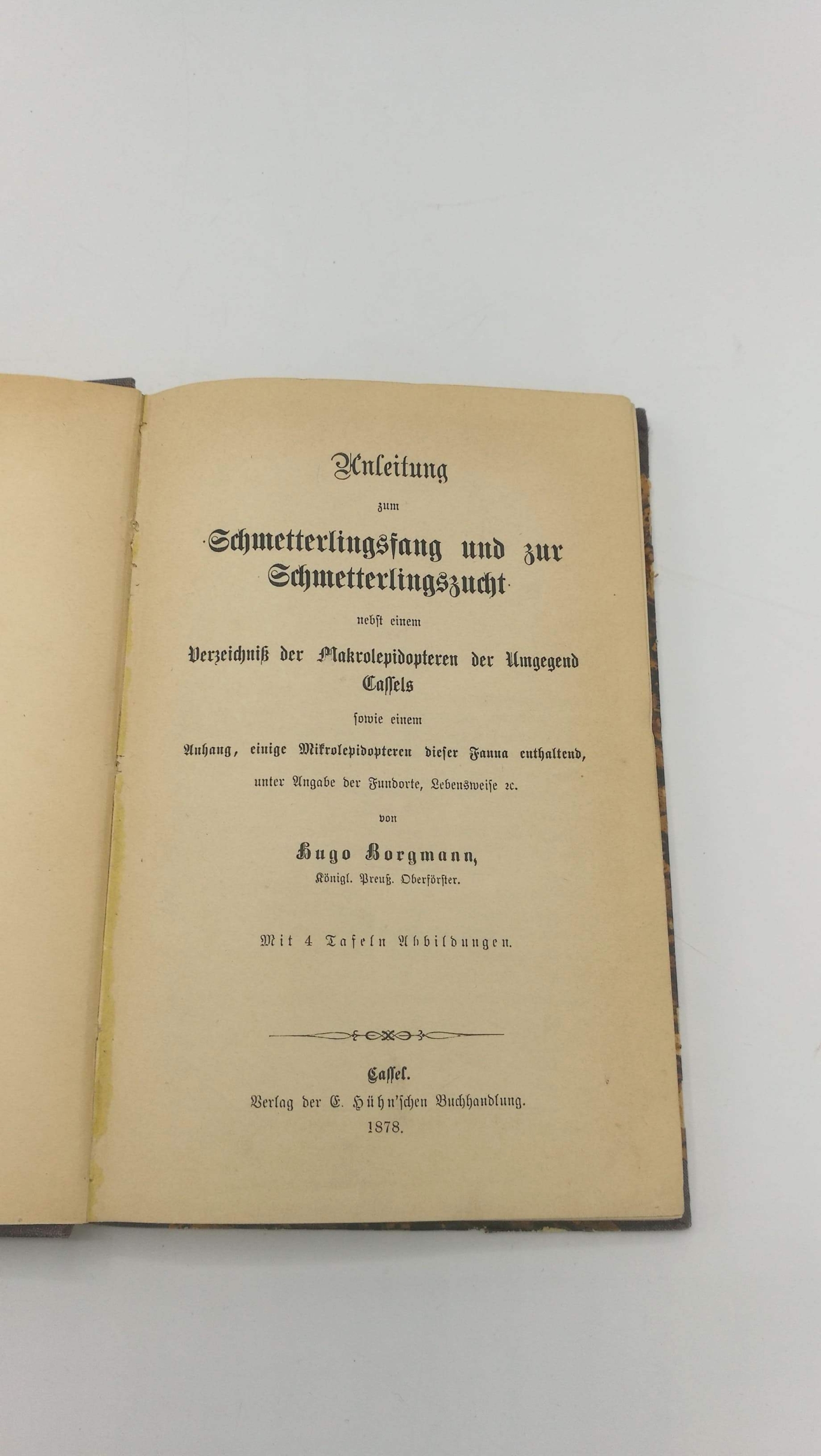 Borgmann, Hugo: Anleitung zum Schmetterlingsfang und zur Schmetterlingszucht nebst einem Verzeichnis der Makrolepidopteren der Umgegend Cassels, sowie einem Anhan, einige Mikrolepidopteren dieser Fauna enthaltend, unter Angabe der Fundorte, Lebensweise et