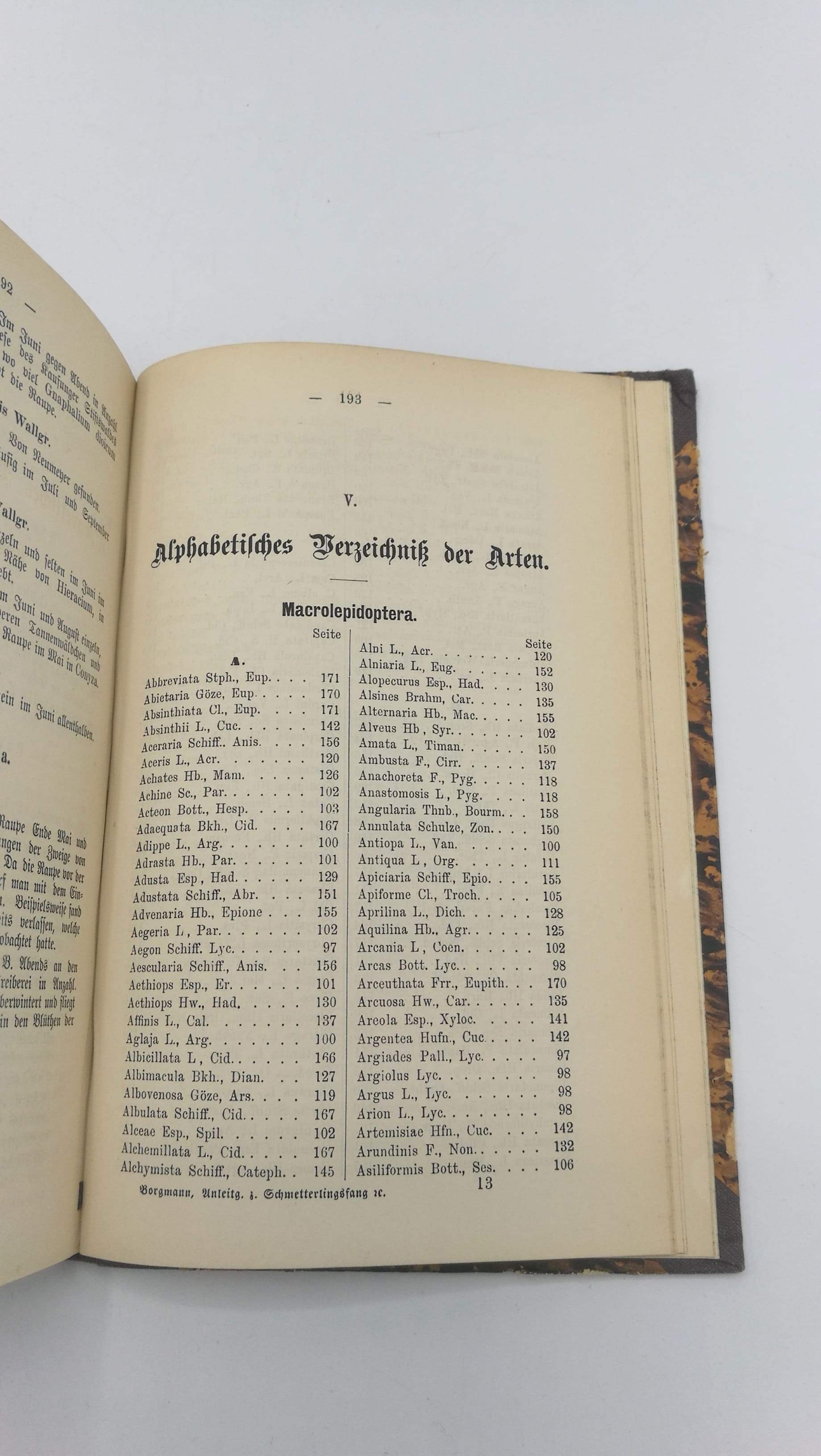 Borgmann, Hugo: Anleitung zum Schmetterlingsfang und zur Schmetterlingszucht nebst einem Verzeichnis der Makrolepidopteren der Umgegend Cassels, sowie einem Anhan, einige Mikrolepidopteren dieser Fauna enthaltend, unter Angabe der Fundorte, Lebensweise et