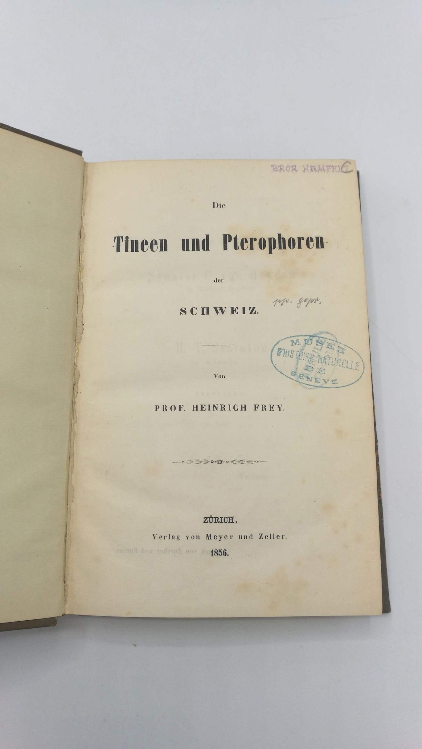 Prof. Heinrich Frey: Die Tineen und Pterophoren der Schweiz