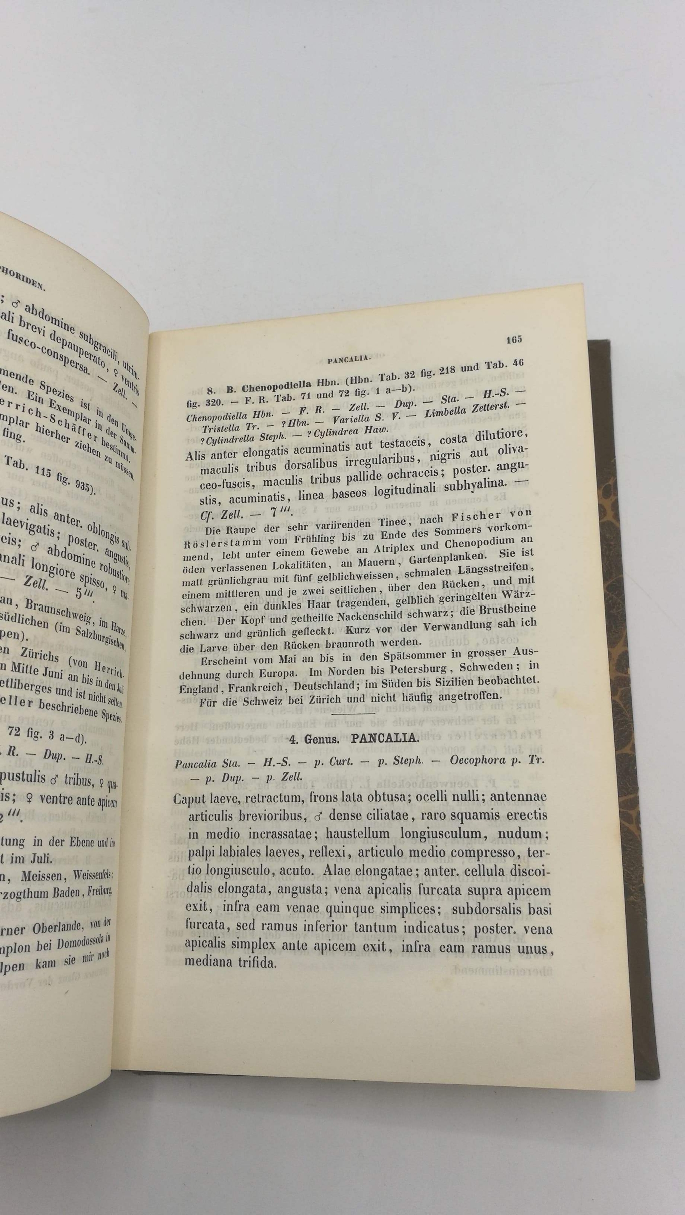 Prof. Heinrich Frey: Die Tineen und Pterophoren der Schweiz