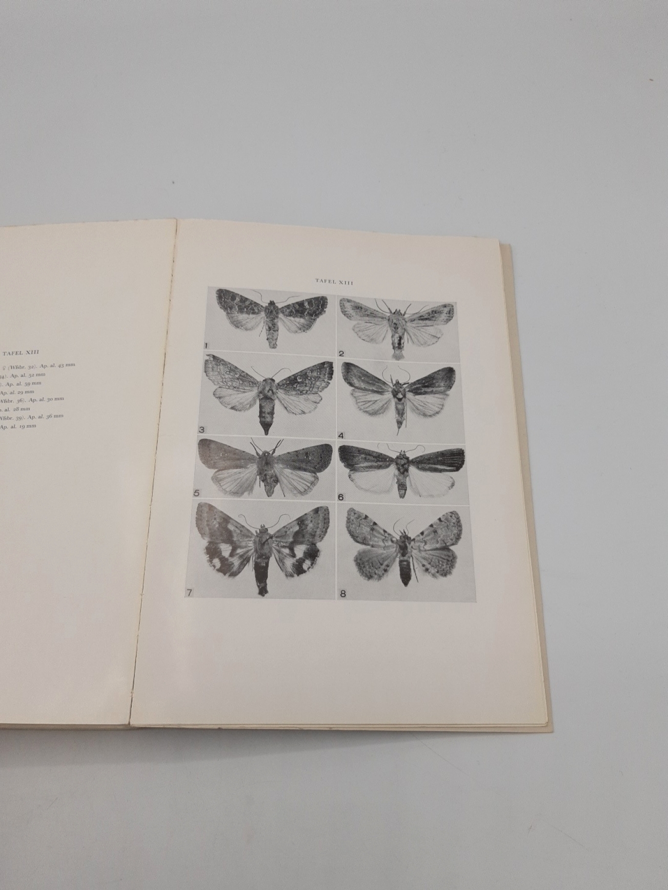 Wolfsberger, Josef: Die Macrolepidopteren-Fauna des Gardaseegebietes (6. Beitrag zur Kenntnis der Lepidopterenfauna der Südalpen)