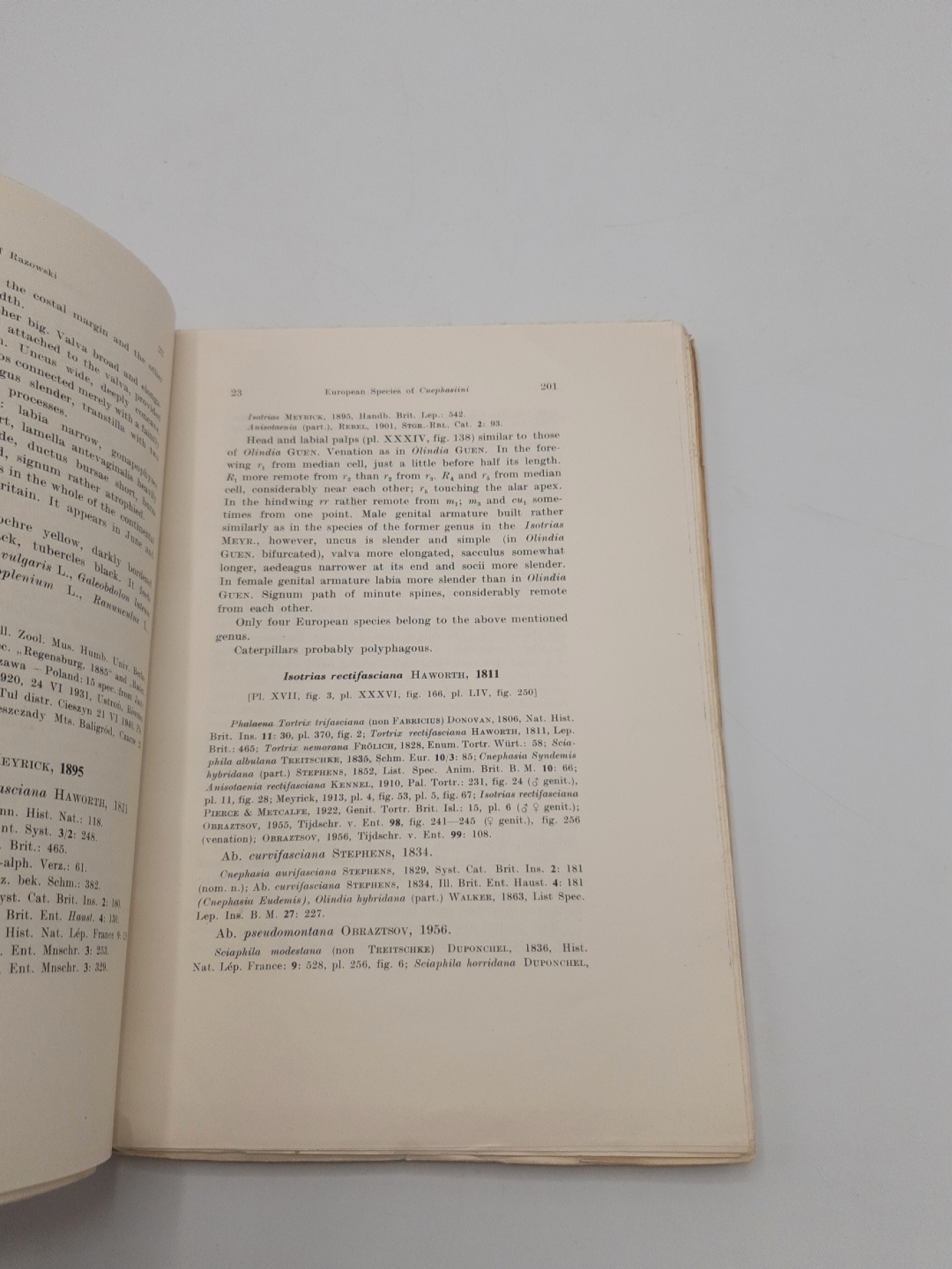 Razowski, Jozef: Acta Zoologica Cracoviensia Tom IV, Nr. 6, 1959