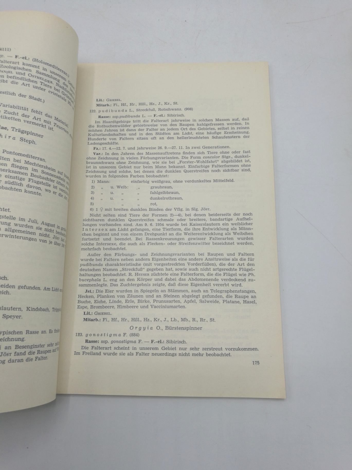 de Lattin, Gustav: Die Lepidopteren Fauna der Pfalz. I. + II. + III. Teil vollständig (4 Bände) Sonderdruck aus Mitteilungen der Pollichia. III. Reihe