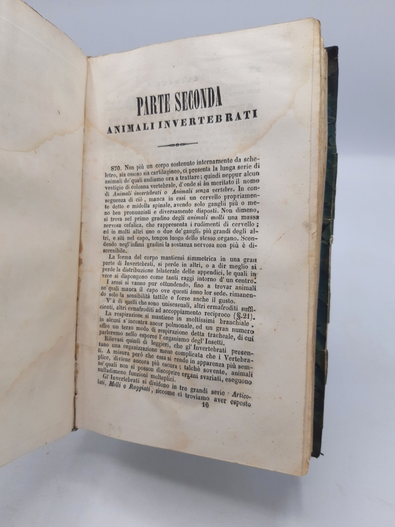 Achille Costa: Catechismo di zoologia per gli studi generali dell'alta istruzione del Regno di Napoli scritto da Achille Costa Volume unico con tavole in rame