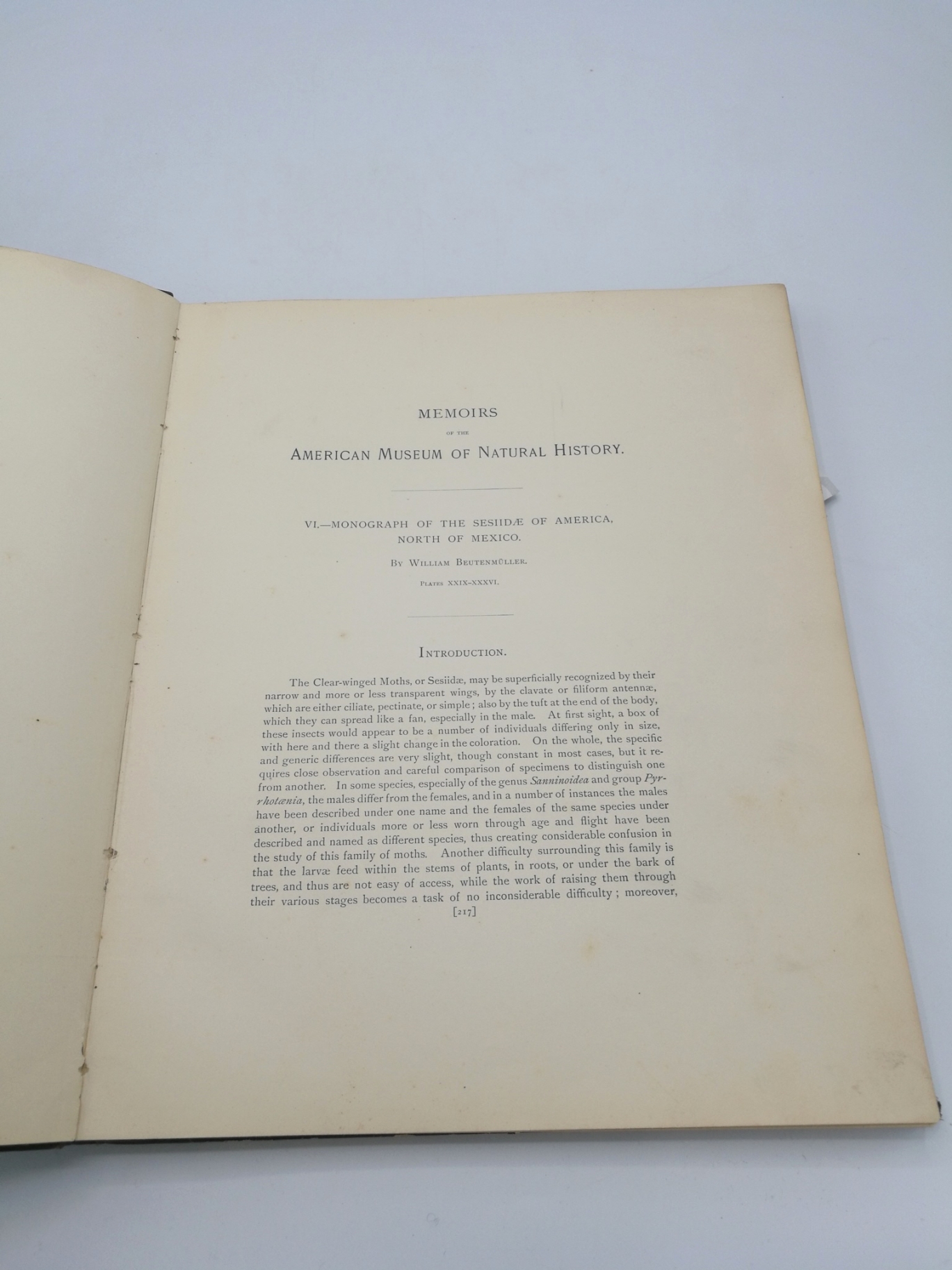 Beutenmüller, William: Vol. I, Part VI. Monograph of the Sesiidae of America, North of Mexico Memoirs of the American Museum of Natural History