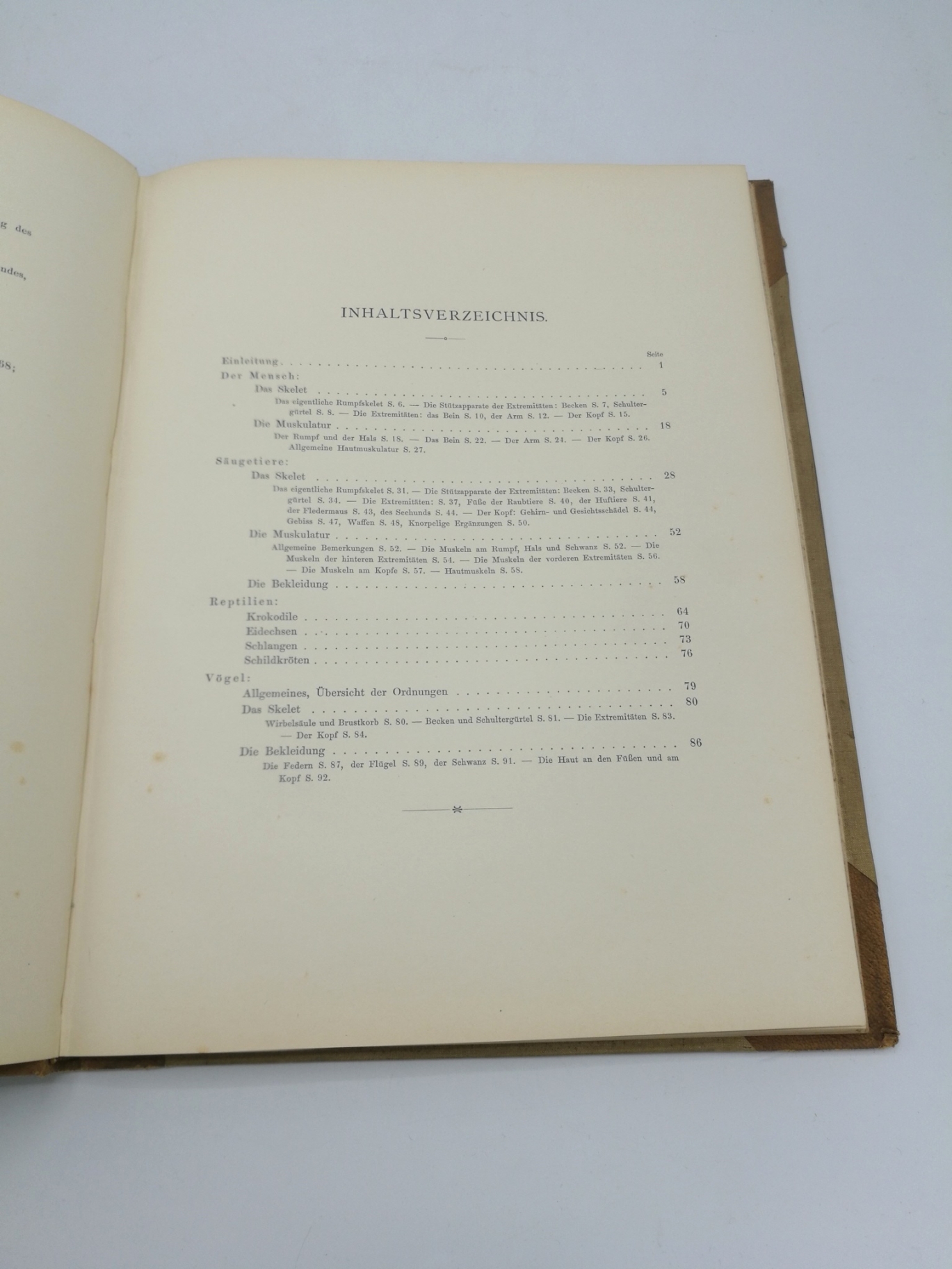 Schaefer, Maximilian: Tierformen - TEXTBAND und Atlas Vergleichende Studien über die Anatomie des Menschen und der Tiere für Künstler, Kunst-Handwerker sowie Dillettanten bearbeitet.