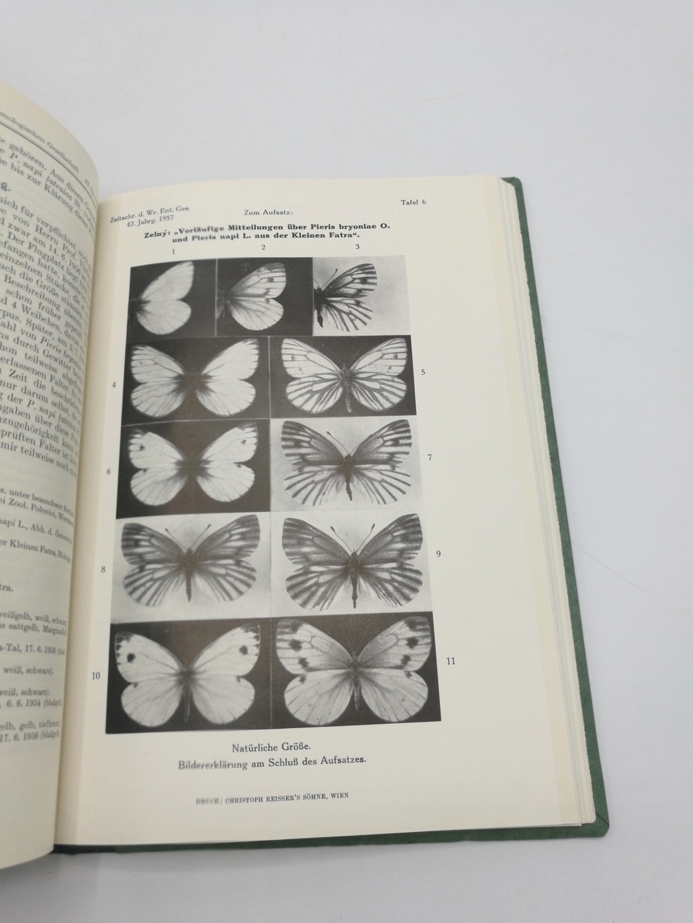 Wiener Entomologischen Gesellschaft (Hrsg.), : Zeitschrift d. Wiener Entomologischen Gesellschaft, 42. Jahrgang, 68. Band 1957, Nr 1-12 (=vollst.). Gebunden! 