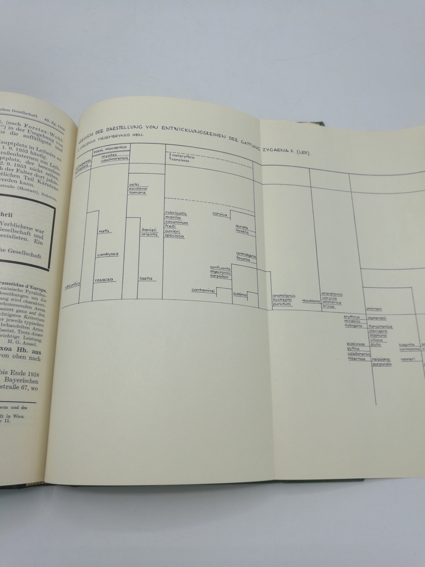 Wiener Entomologischen Gesellschaft (Hrsg.), : Zeitschrift d. Wiener Entomologischen Gesellschaft, 43. Jahrgang, 69. Band 1958, Nr 1-12 (=vollst.). Gebunden! 