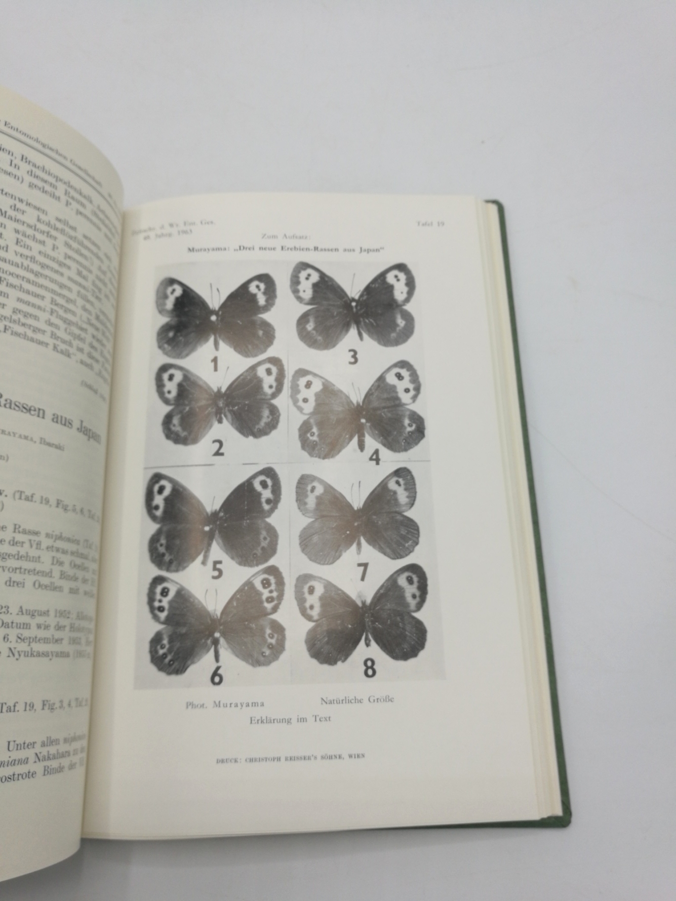 Wiener Entomologischen Gesellschaft (Hrsg.), : Zeitschrift d. Wiener Entomologischen Gesellschaft, 48. Jahrgang, 84. Band 1963, Nr 1-12 (=vollst.). Gebunden! 