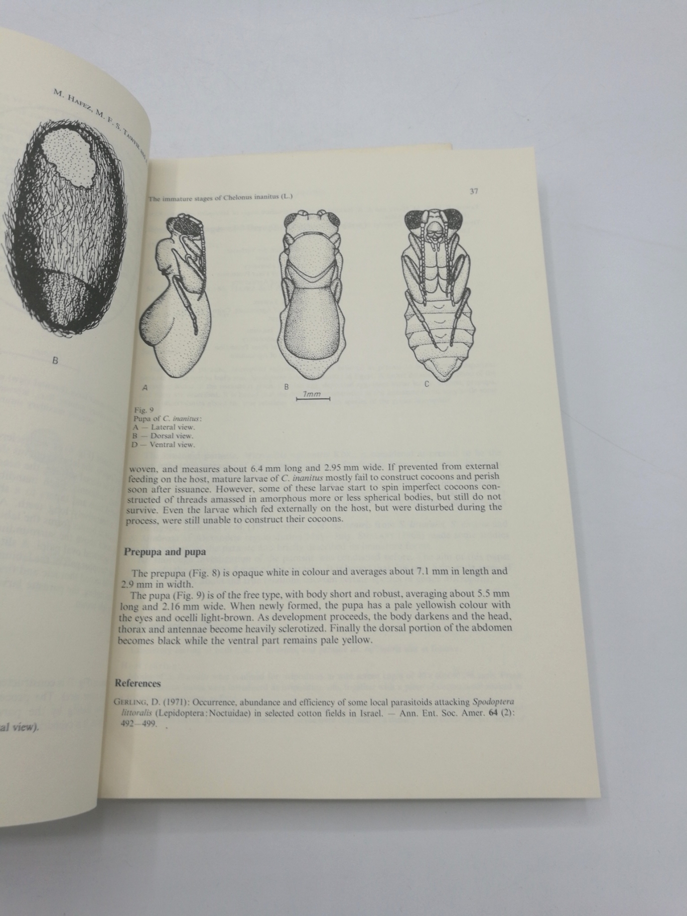 Zoologisches Museum Berlin (Hrgs.): Deutsche Entomologische Zeitschrift. Neue Folge. Heft I-V, Jahrgang 1980, Band 27 in 2 Orig.-Br. (=vollst. Jahrgang)