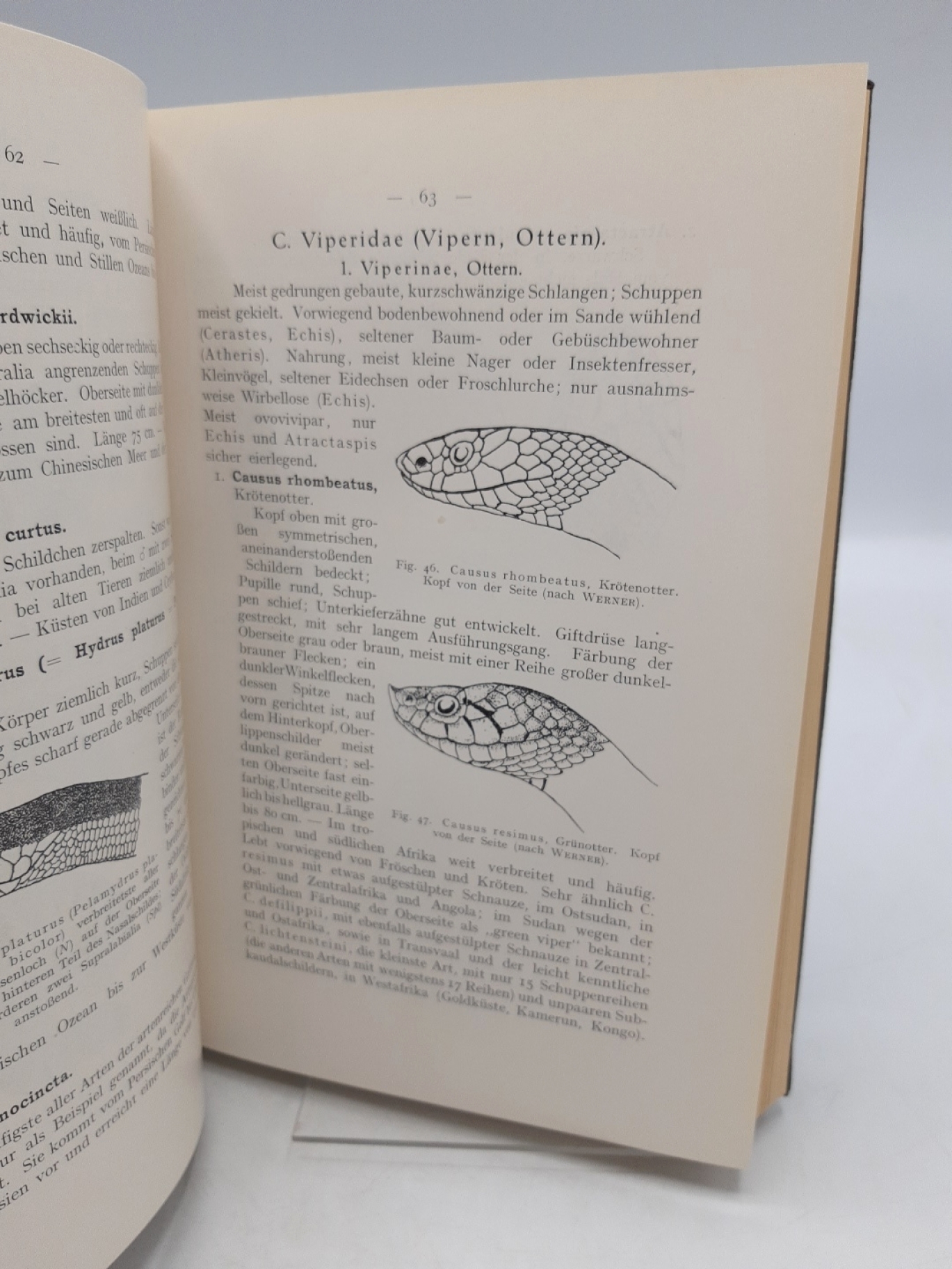 Kraus / Loveridge / Brongersma, R. / Arthur / L. D.: Sammelband zum Thema Schlagen. Drei (3) Bände in einem (1) Buch.