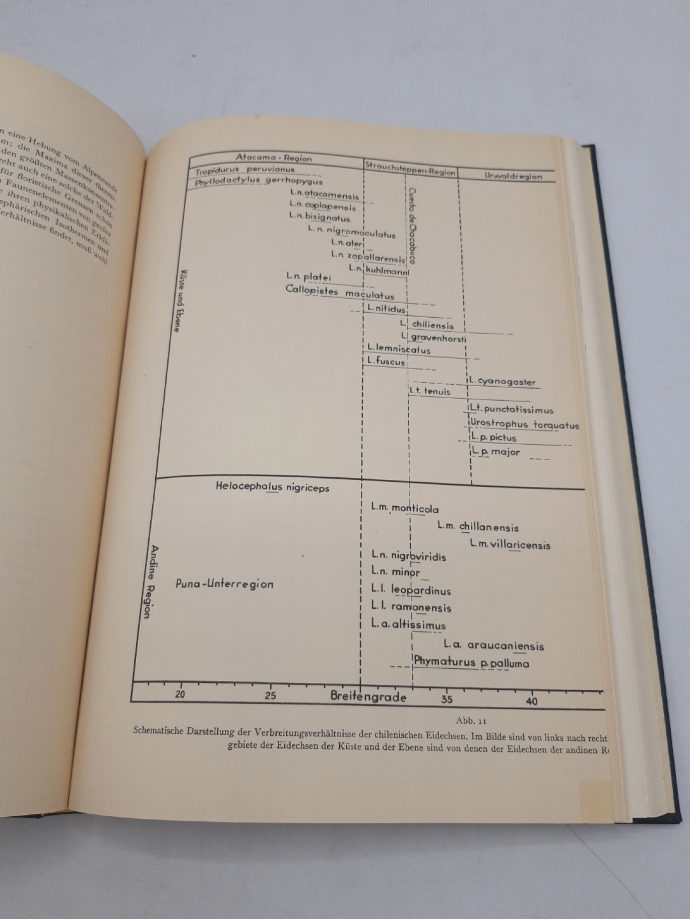 Hellmich, Walter: Sammelband zwei (2) Artikel Walter Hellmichs über Reptilien