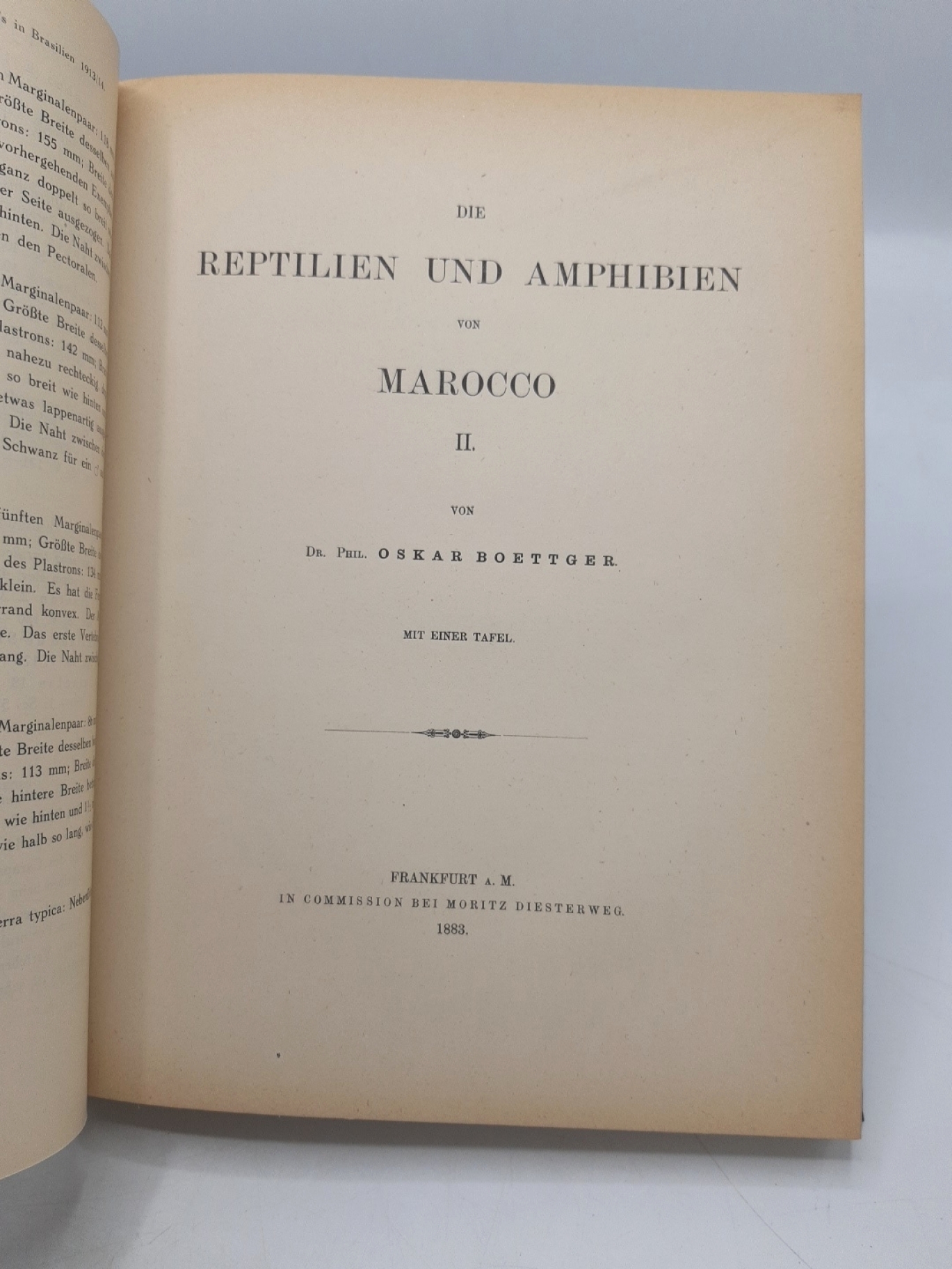 diverse Autoren: Sammelband mit Artikeln über Reptilien, insbesondere des Gehirns von Reptilien