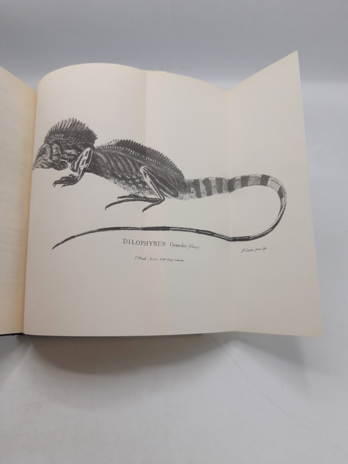 T.E. Cantor: Catalogue of Reptiles. Inhabiting the Malayan Peninsula. REPRINT Journal of the Asiatic Society of Bengal, Volumes XVI 1847 [REPRINT 1966]