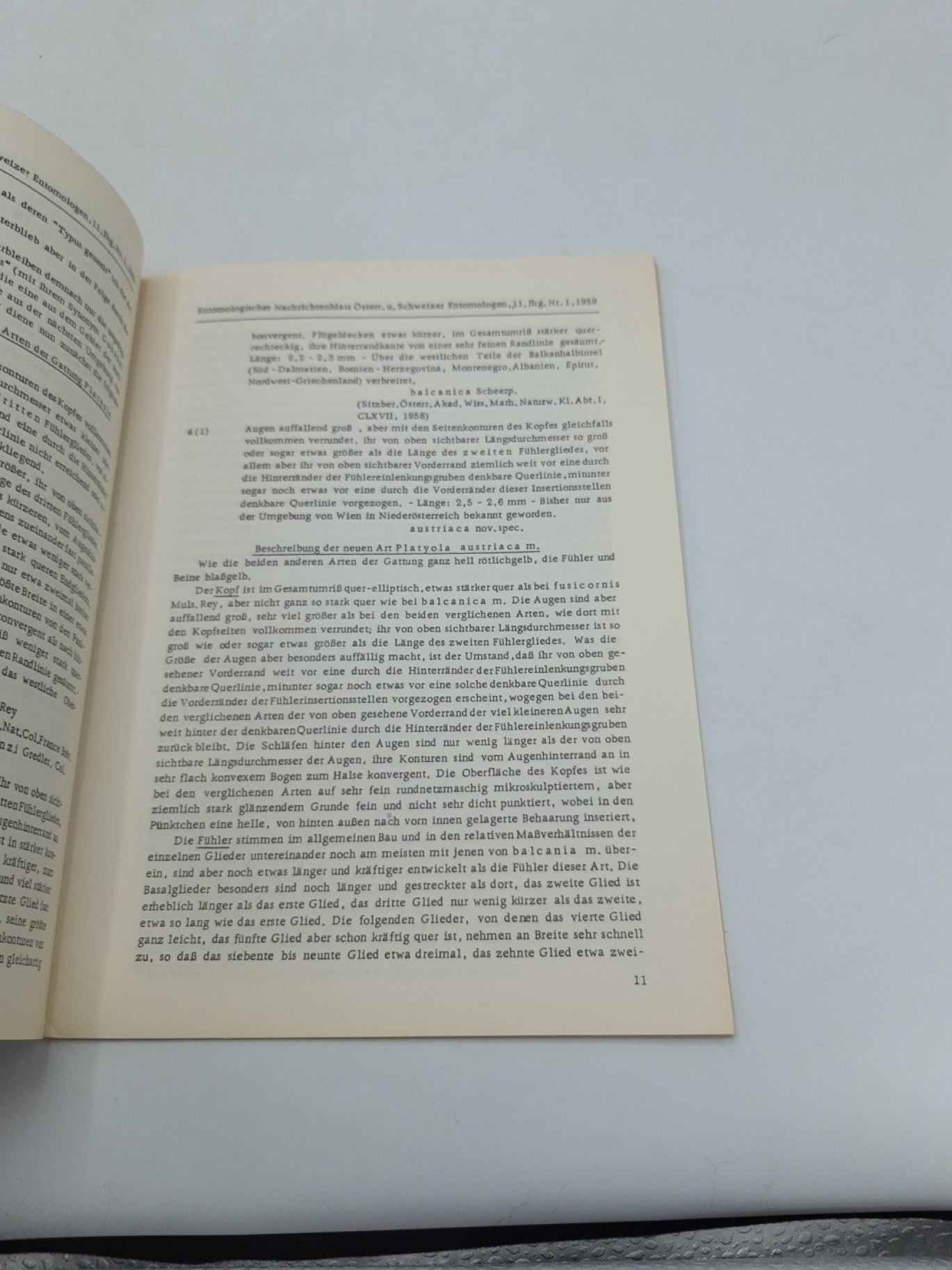 Österreichischer Entomologen (Hrsg.): 11. Jahrgang. Nr. 1 1959 Zeitschrift d. Arbeitsgemeinschaft Österreichischer Entomologen