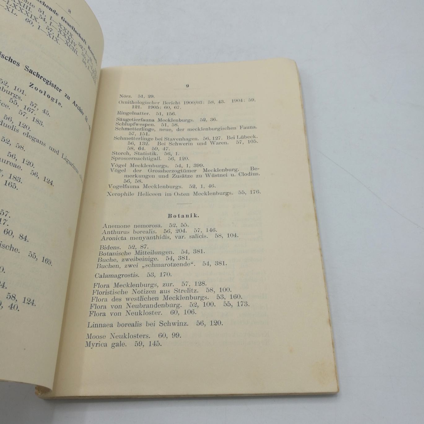 Verein Freunde Naturgeschichte Mecklenburg (Hrsg.): Archiv des Vereins der Freunde der Naturgeschichte in Mecklenburg. 61. Jahr. (1907) I. Abtheilung